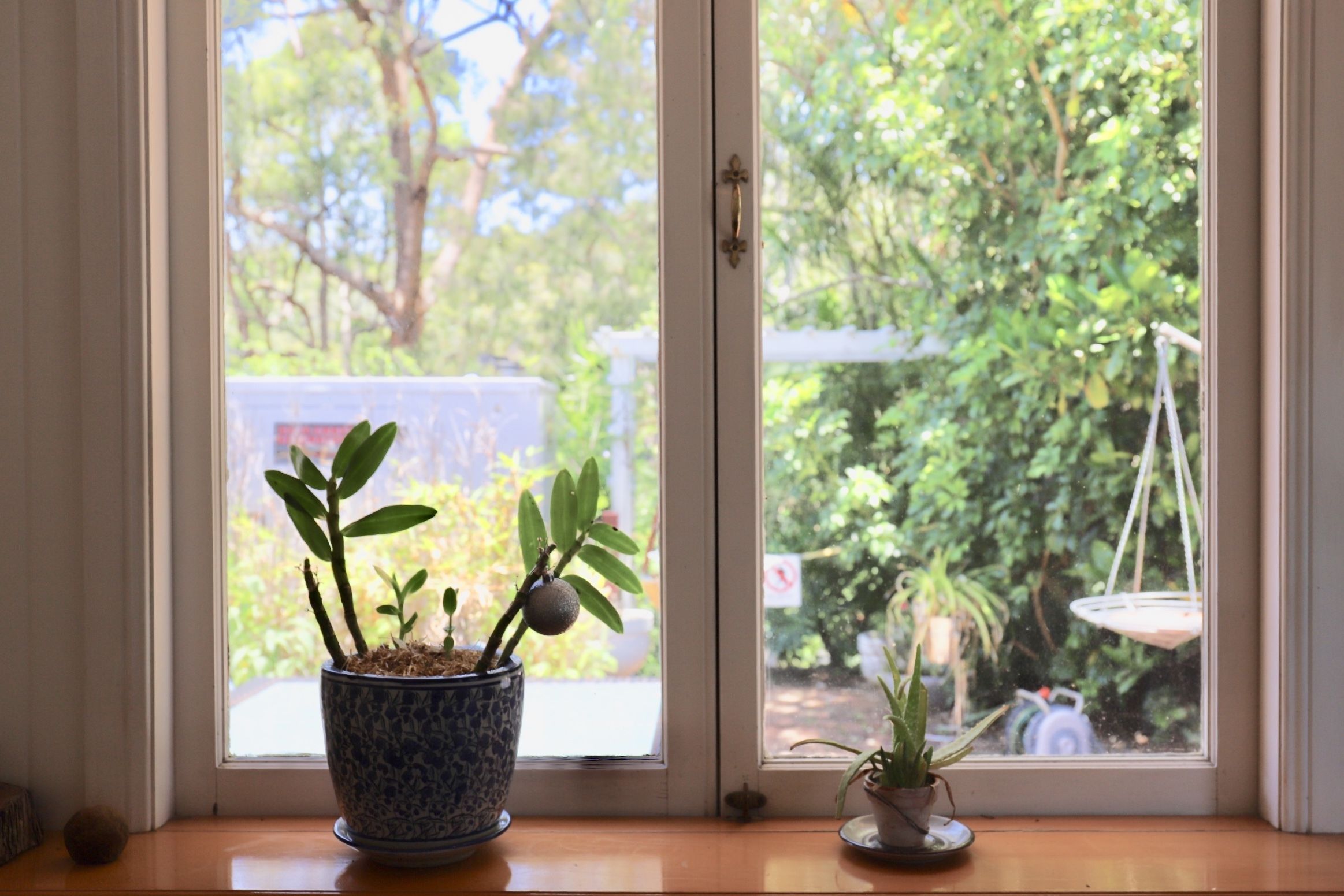 Hilltop on Tamborine