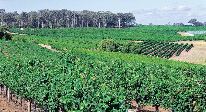 Experience Margaret River & Southwest Regions Extended Tour (sample only)