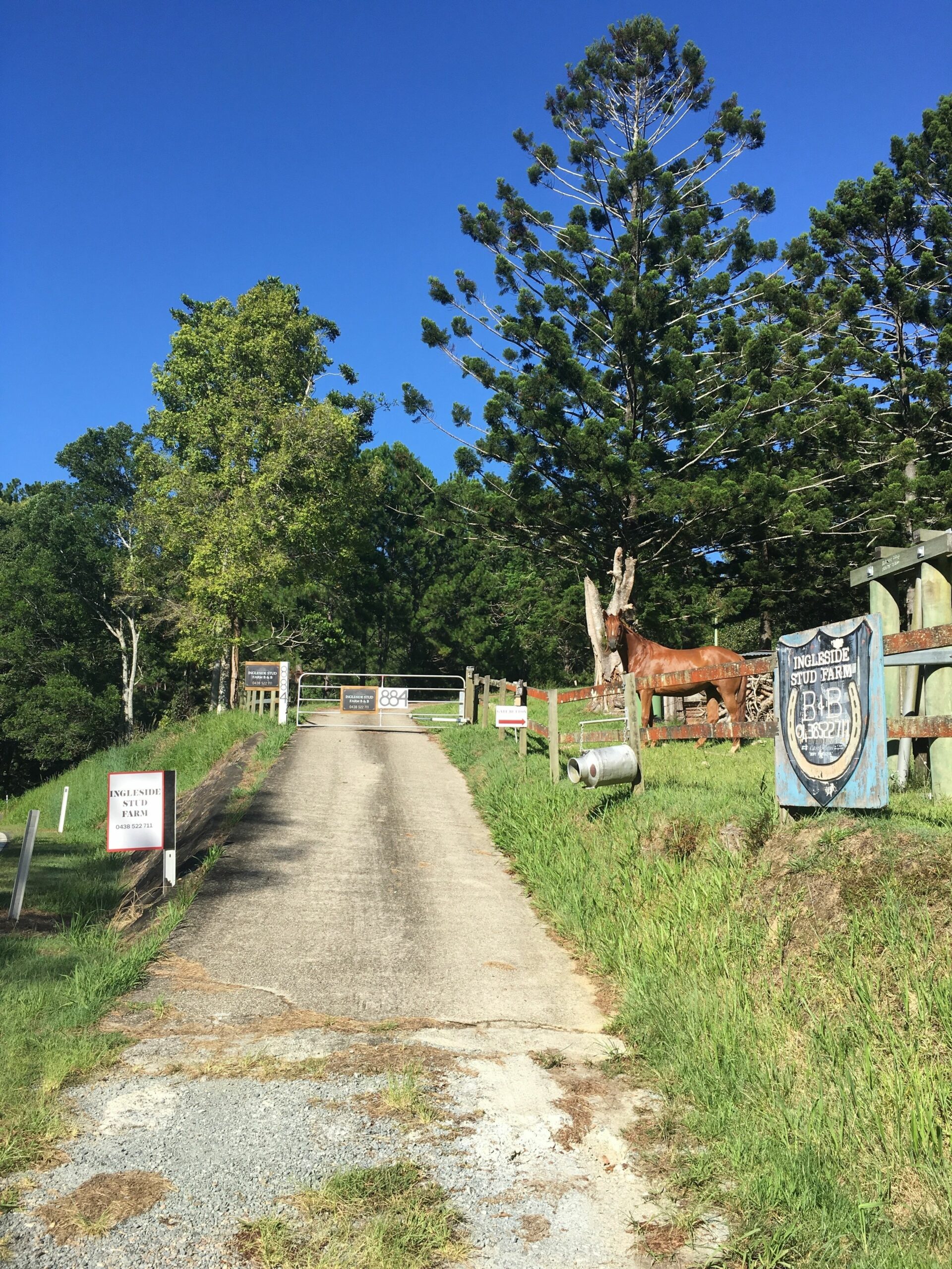 Ingleside Stud Farm