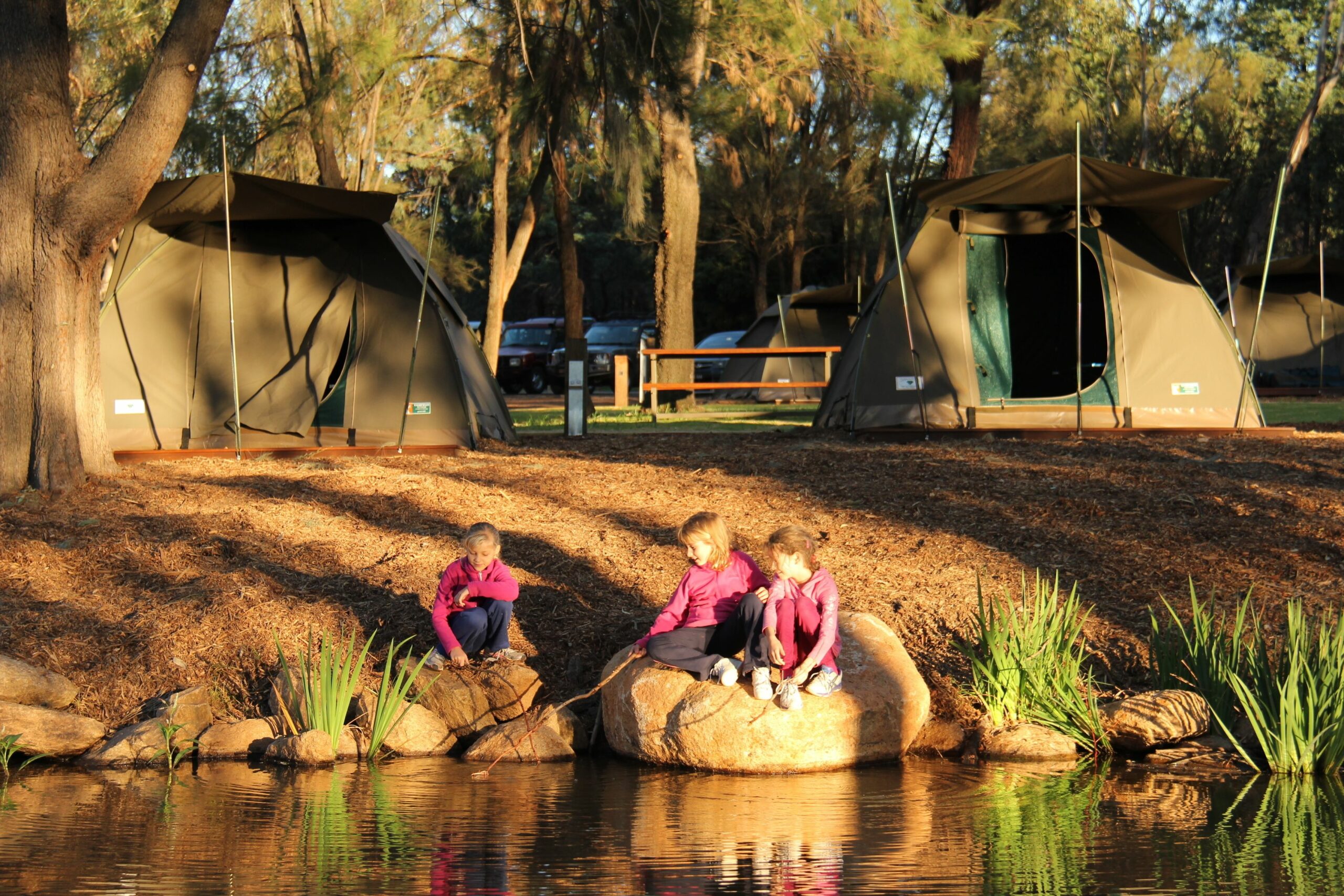 Billabong Camp at Taronga Western Plains