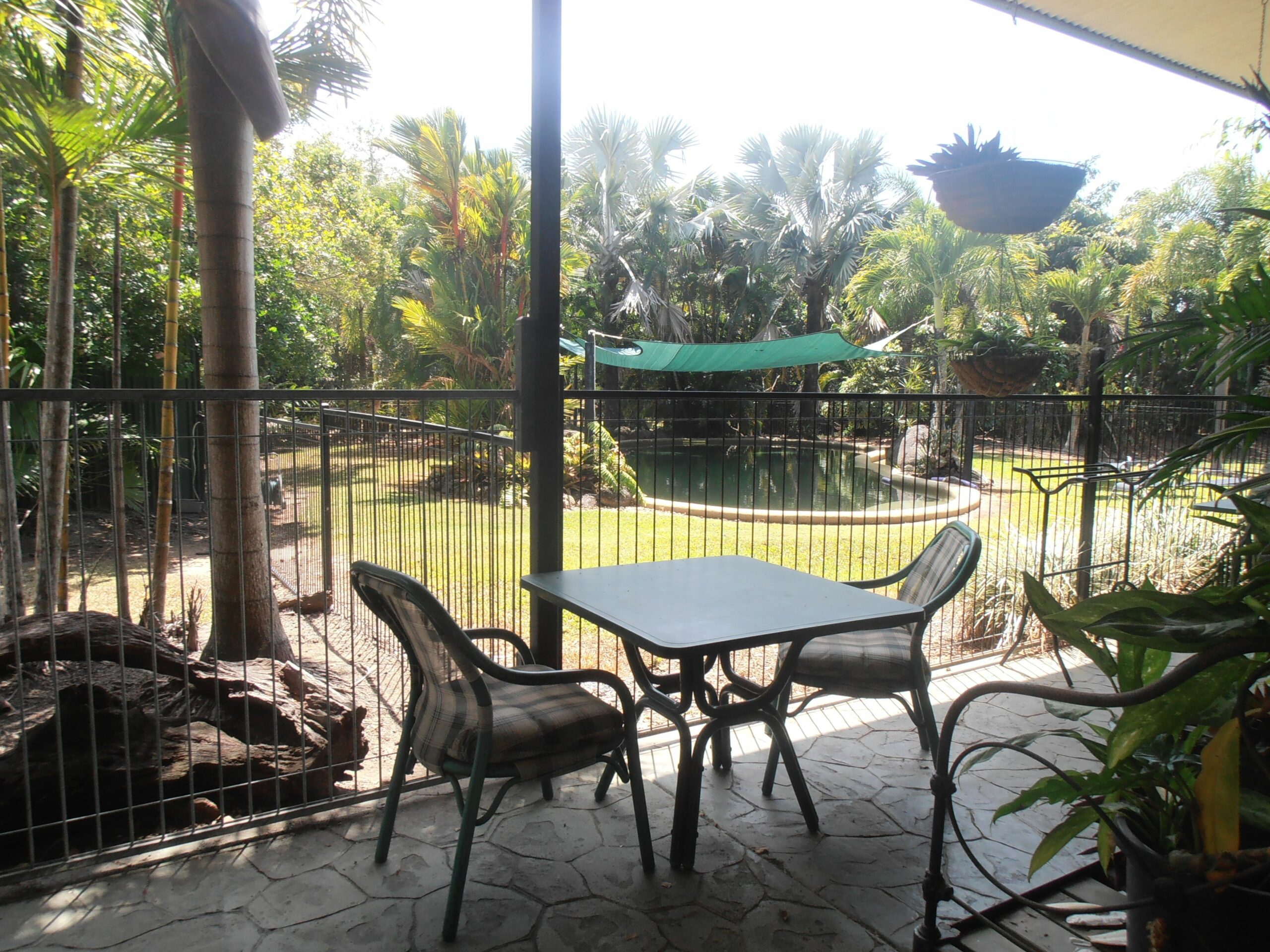 Daintree Wild Zoo & Bed and Breakfast