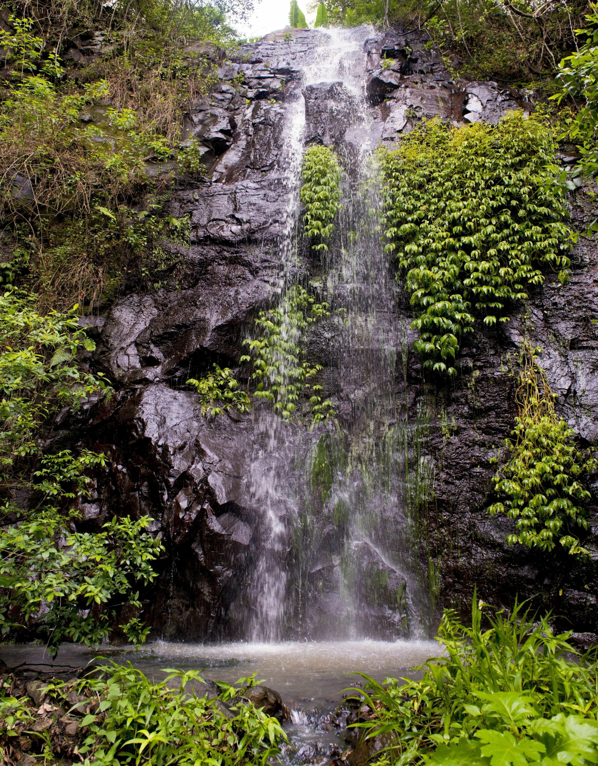 Nimbin Waterfall Retreat