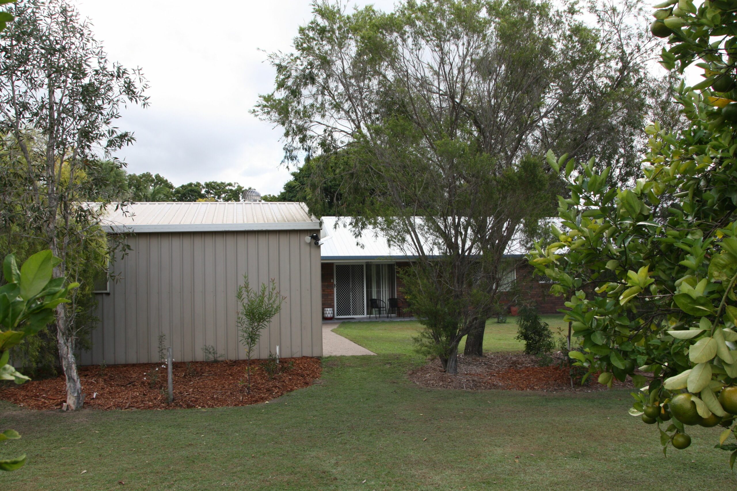 Bottlebrush B&B