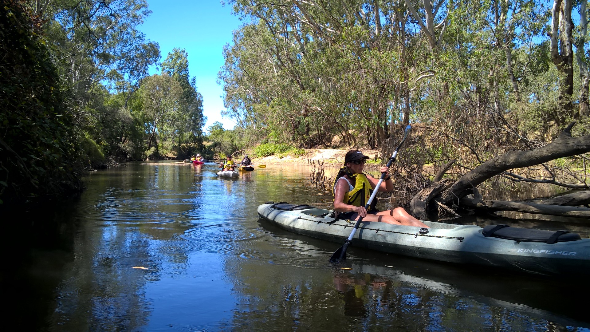 Paddle for Picnic - Self guided kayak tour on the Ovens River