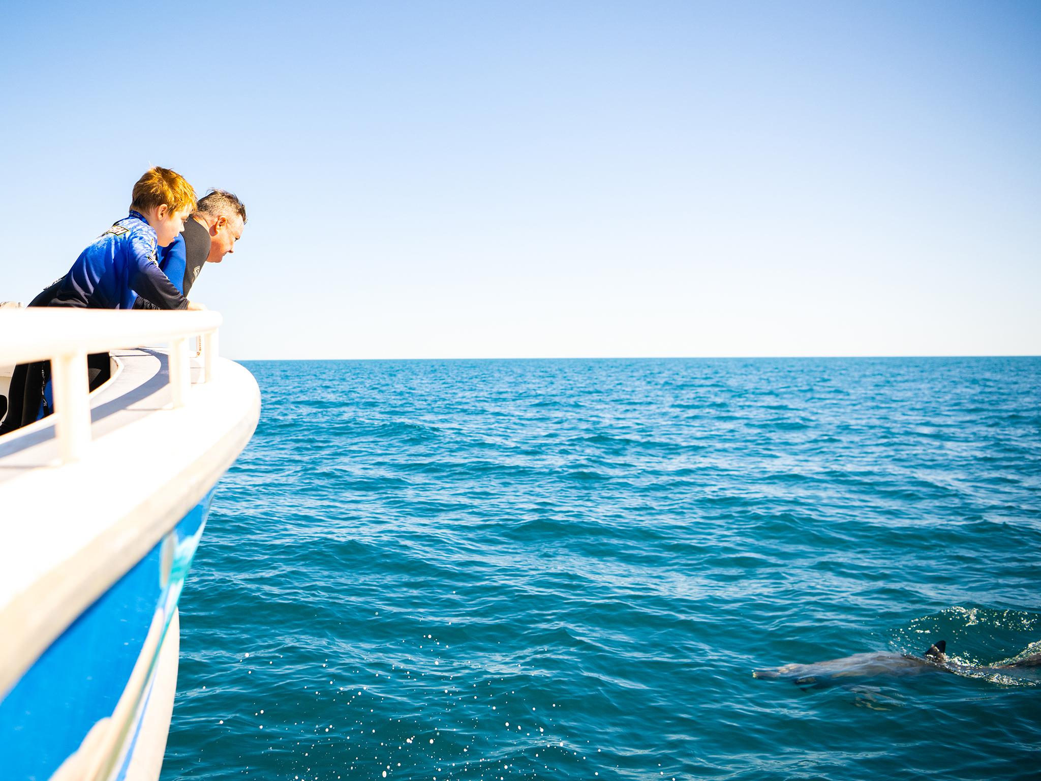 Kangaroo Island Ocean Safari - 2 hour VIEW ONLY (snorkelling safari)