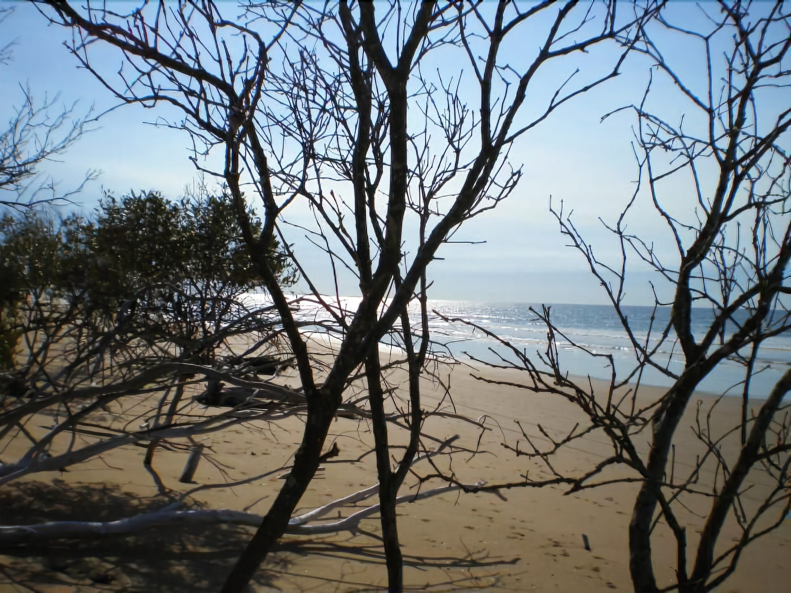 Moore Park Beach Motel