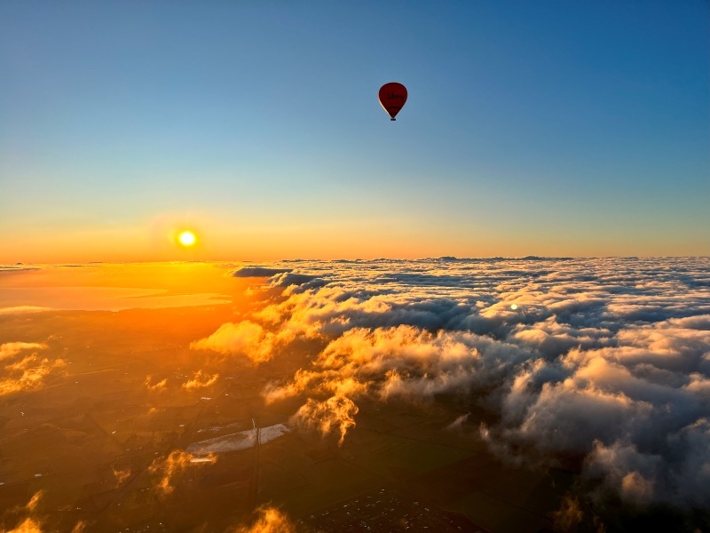 The Great Ocean Flight - Geelong and Bellarine - Includes Breakfast