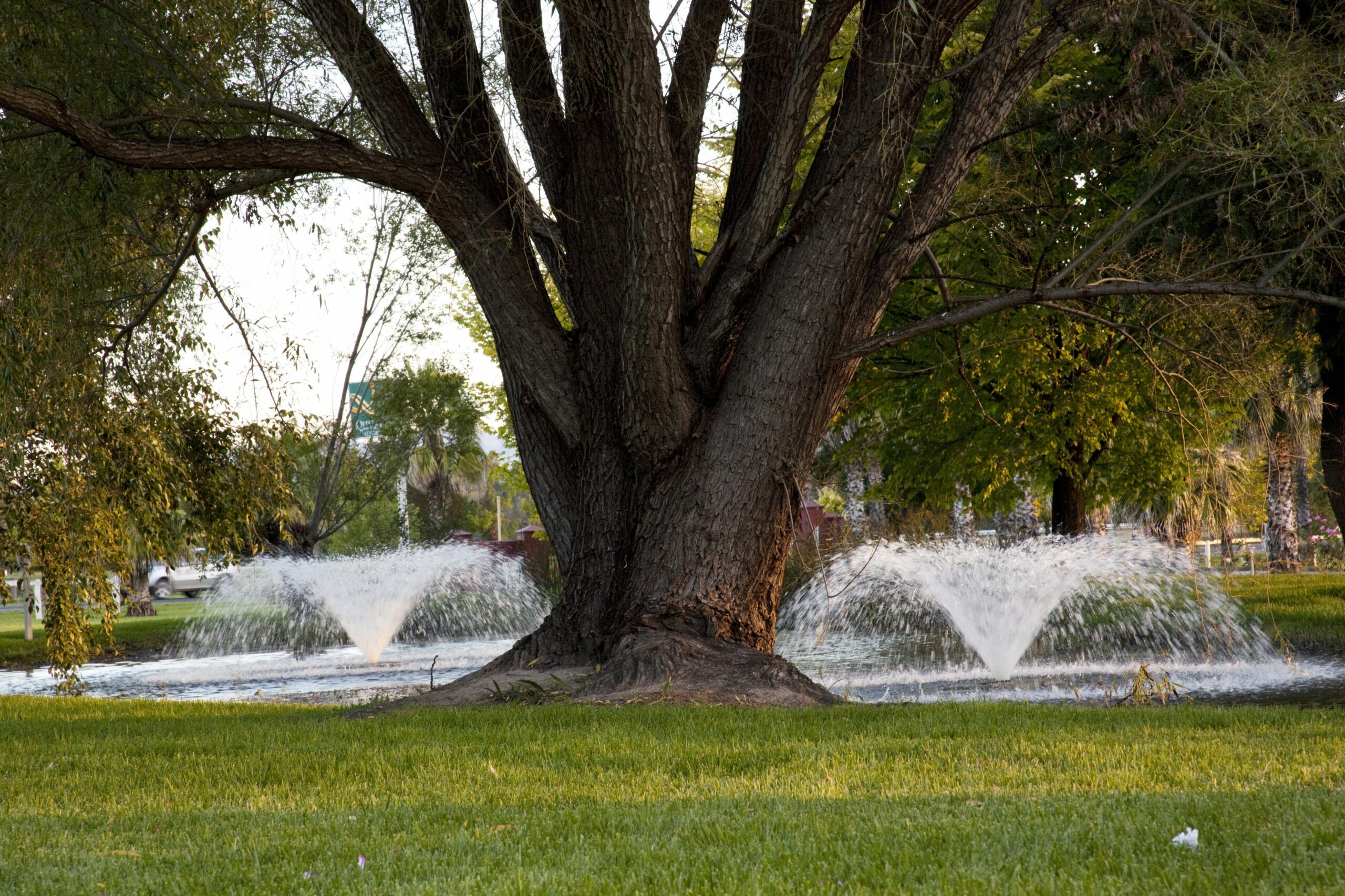 Parklands Resort & Conference Centre