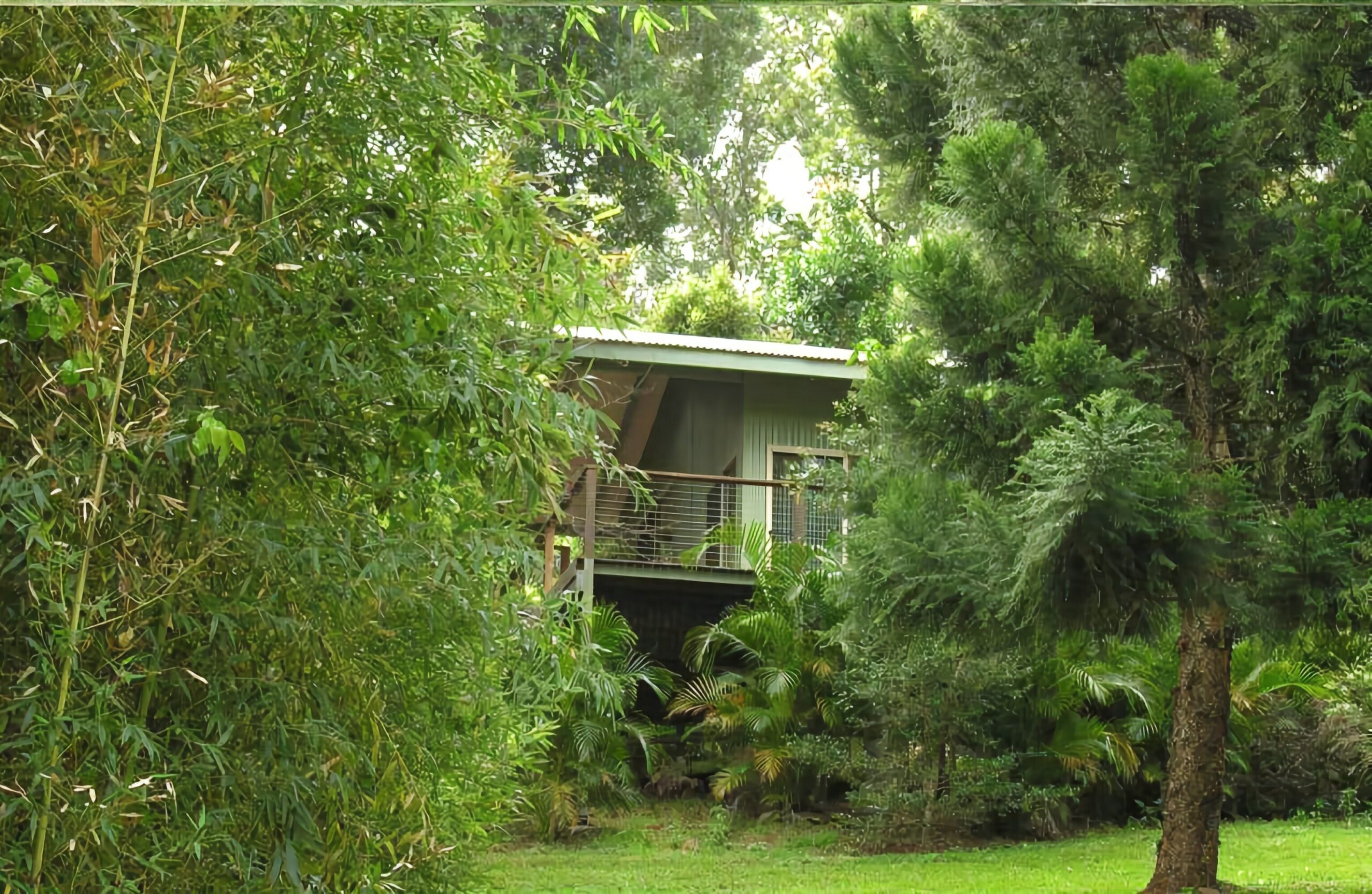 Treetops Accommodation Montville