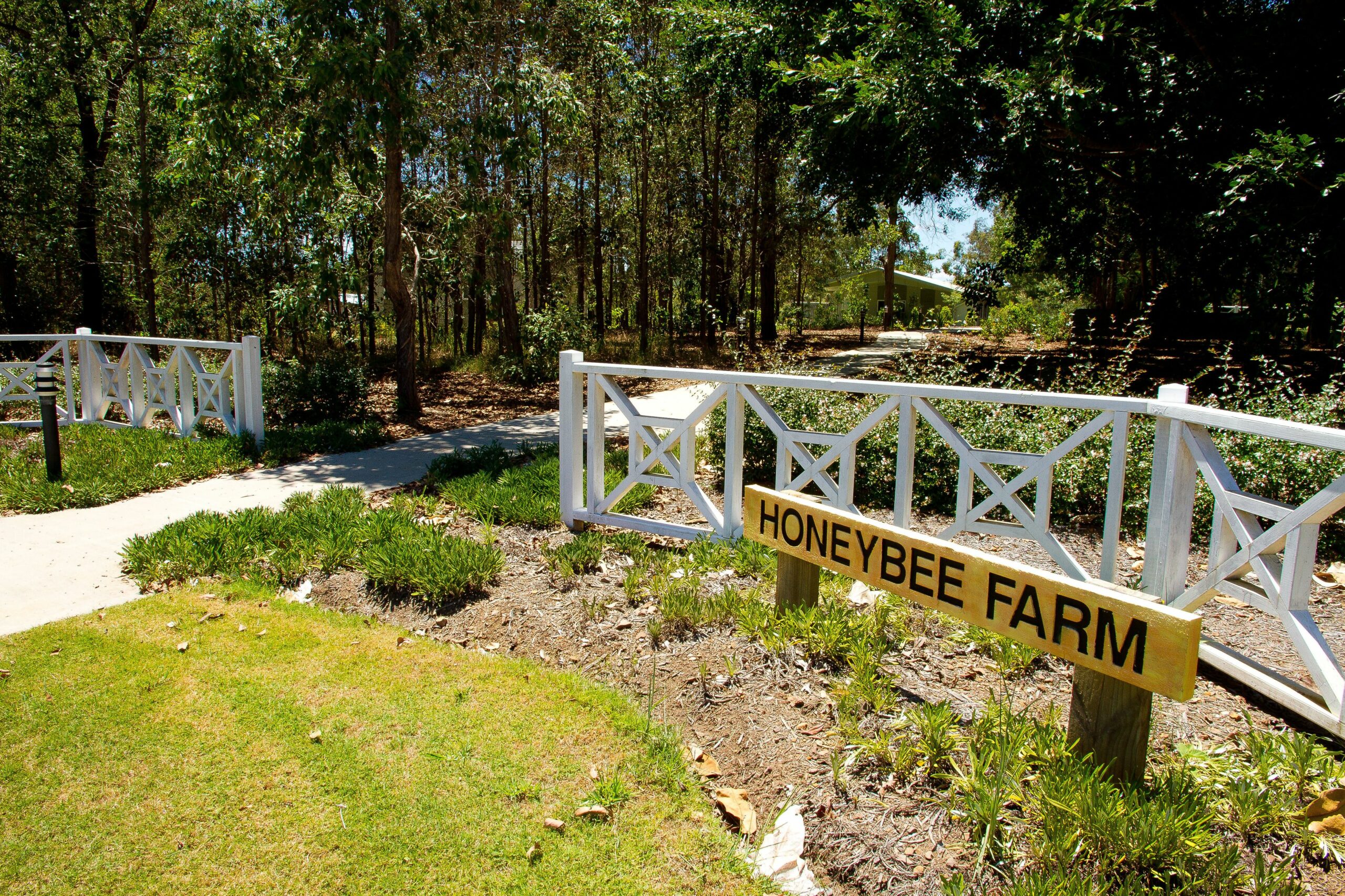 Honeybee Country Accommodation