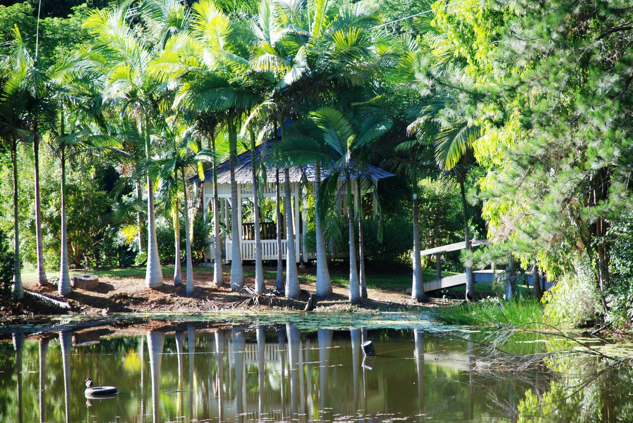 Mt Warning Rainforest Retreat