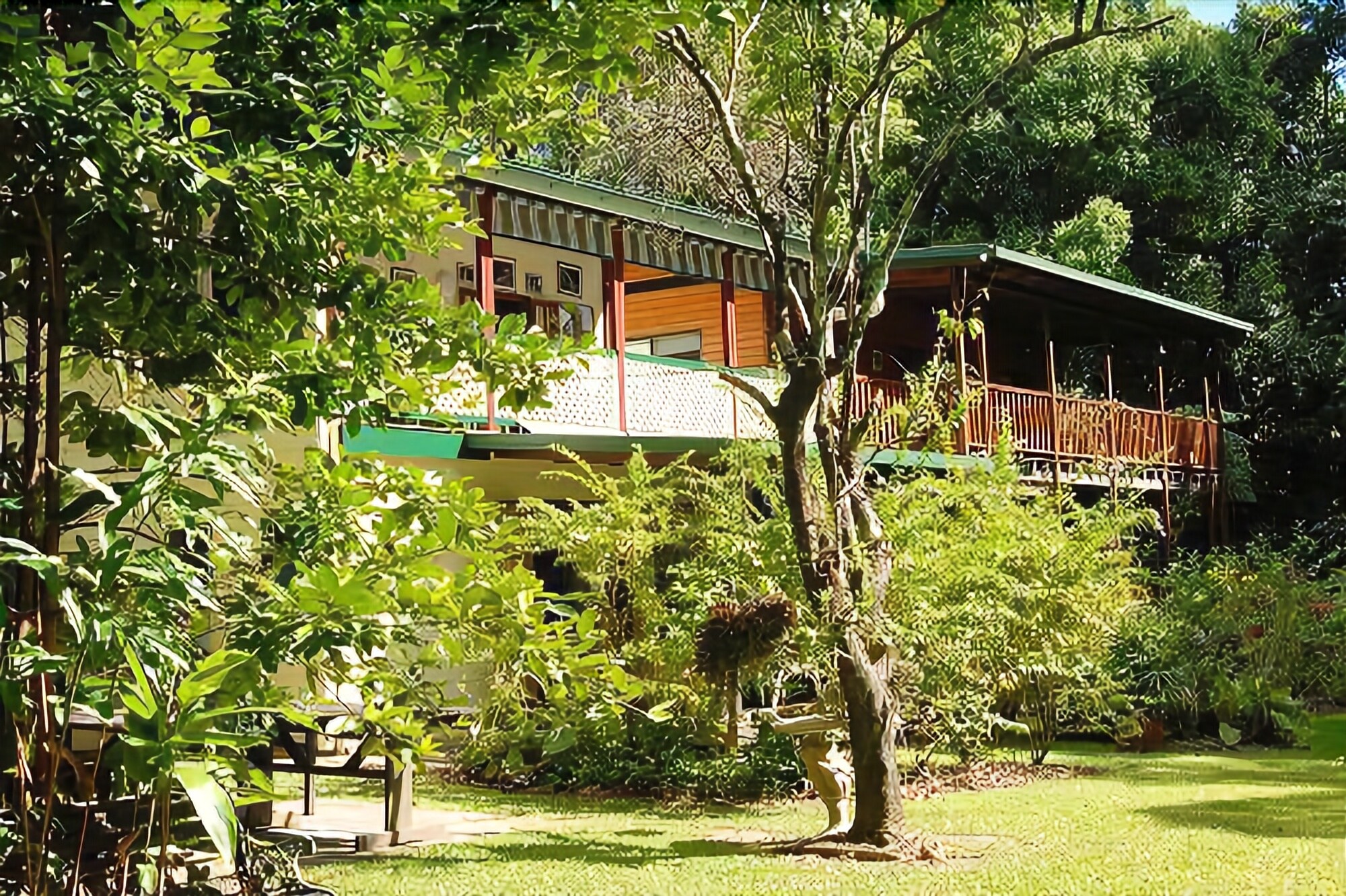 Red Mill House in Daintree