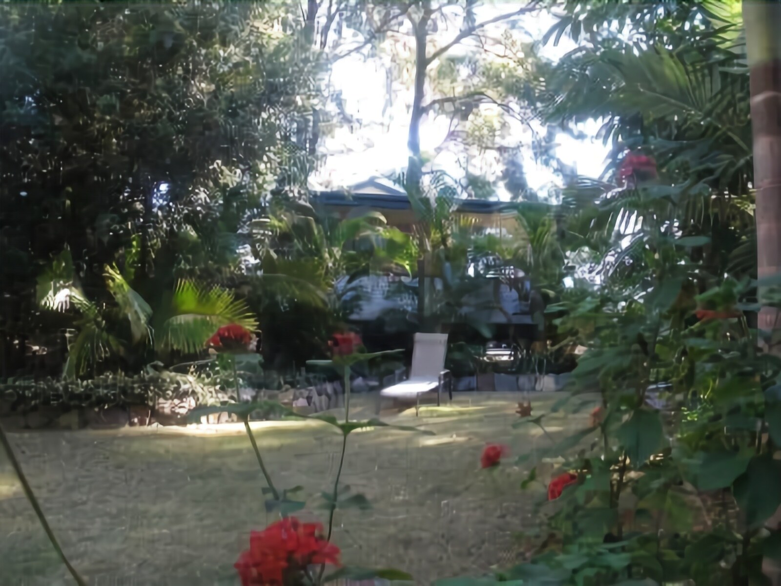 Safety Beach Ocean Bungalows