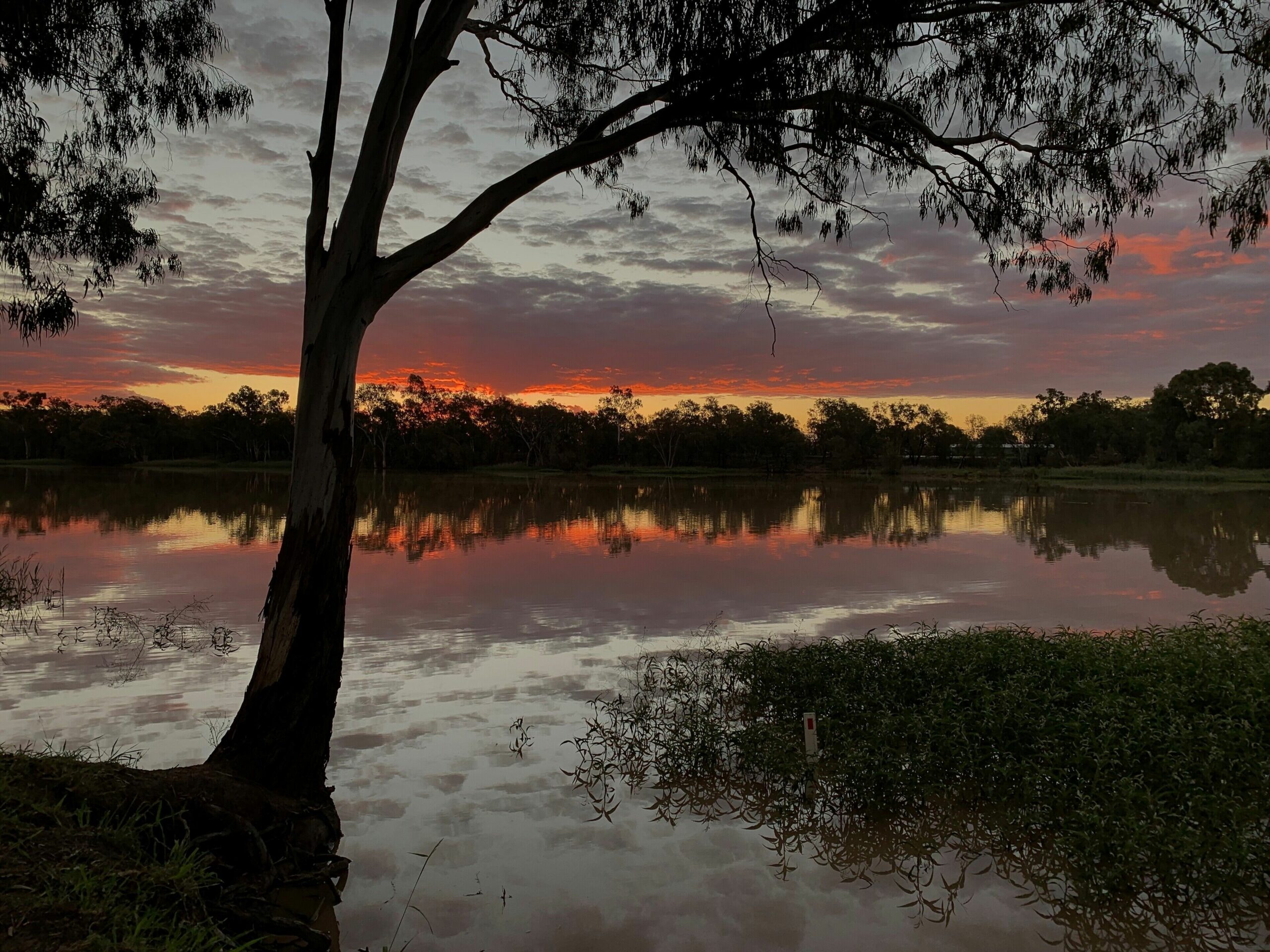 Riverland Motor Inn & River's Restaurant