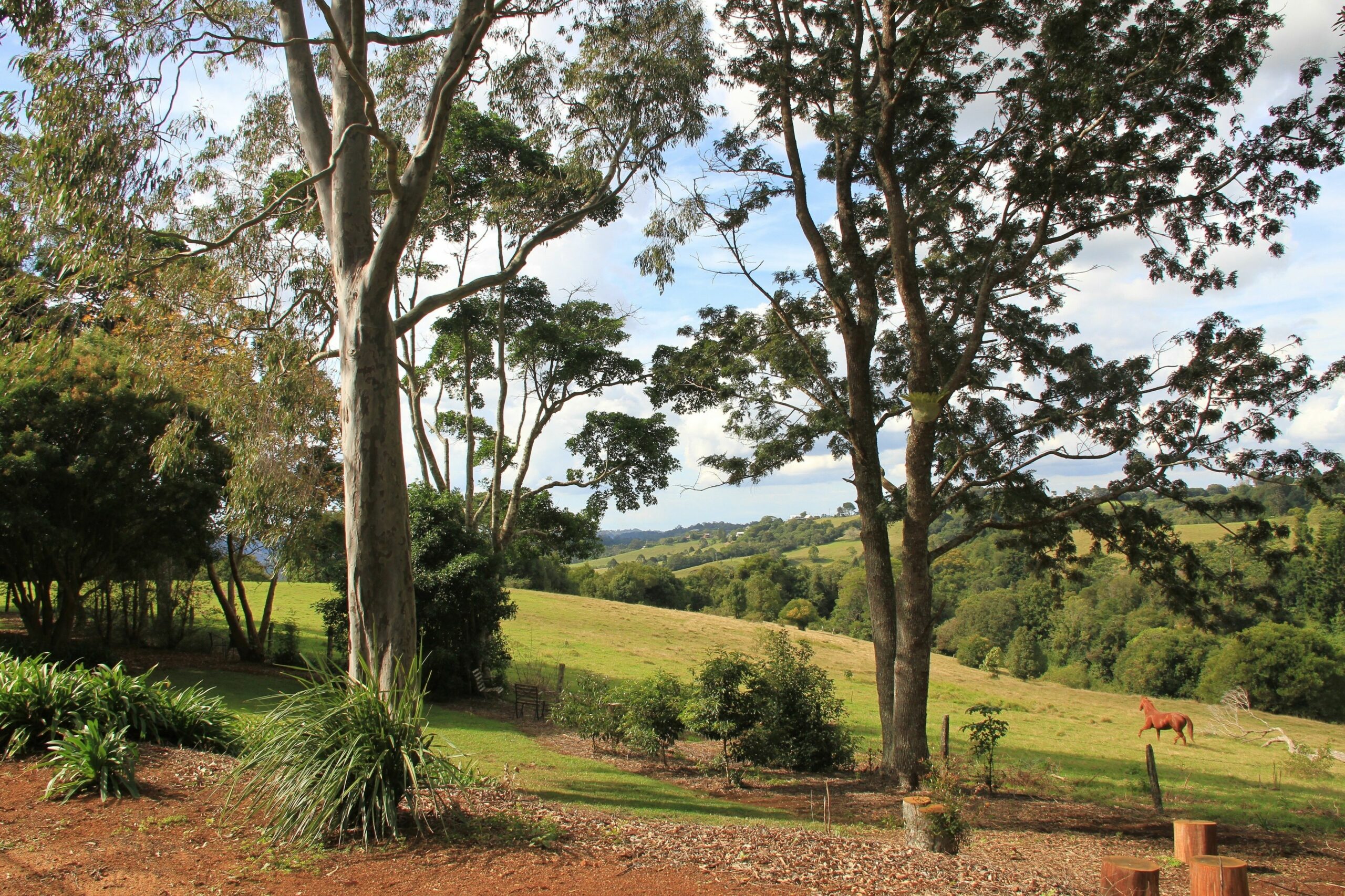 Seasons of Maleny B&B