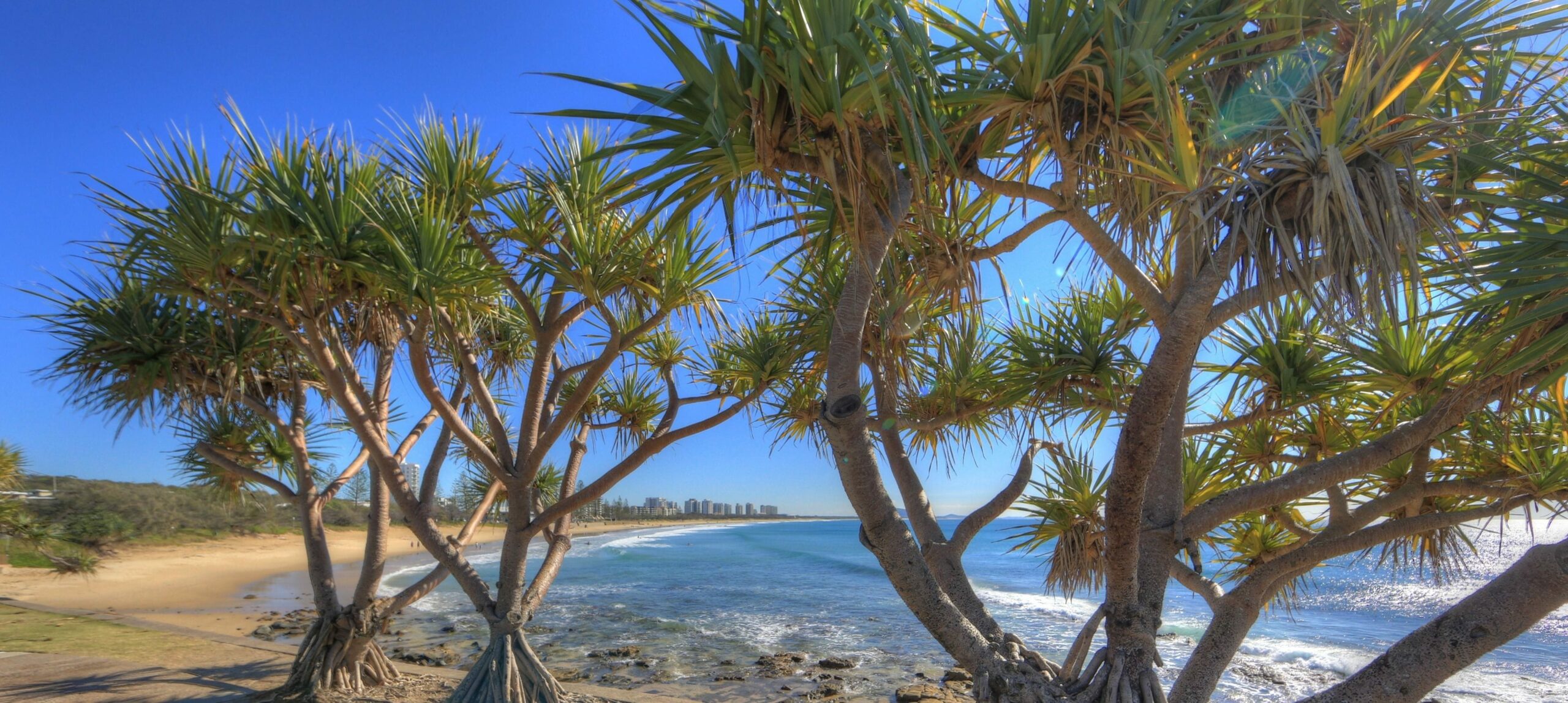 Alex Beach Cabins