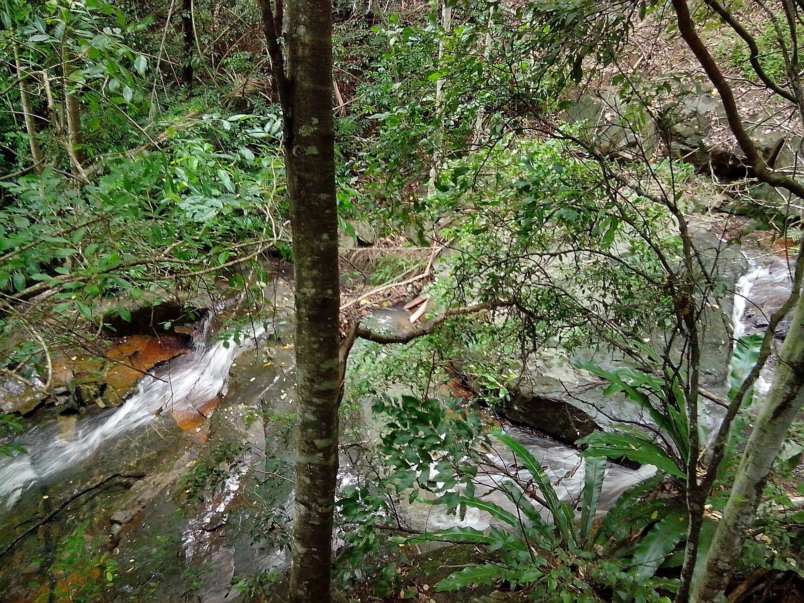 Mt Warning Rainforest Retreat