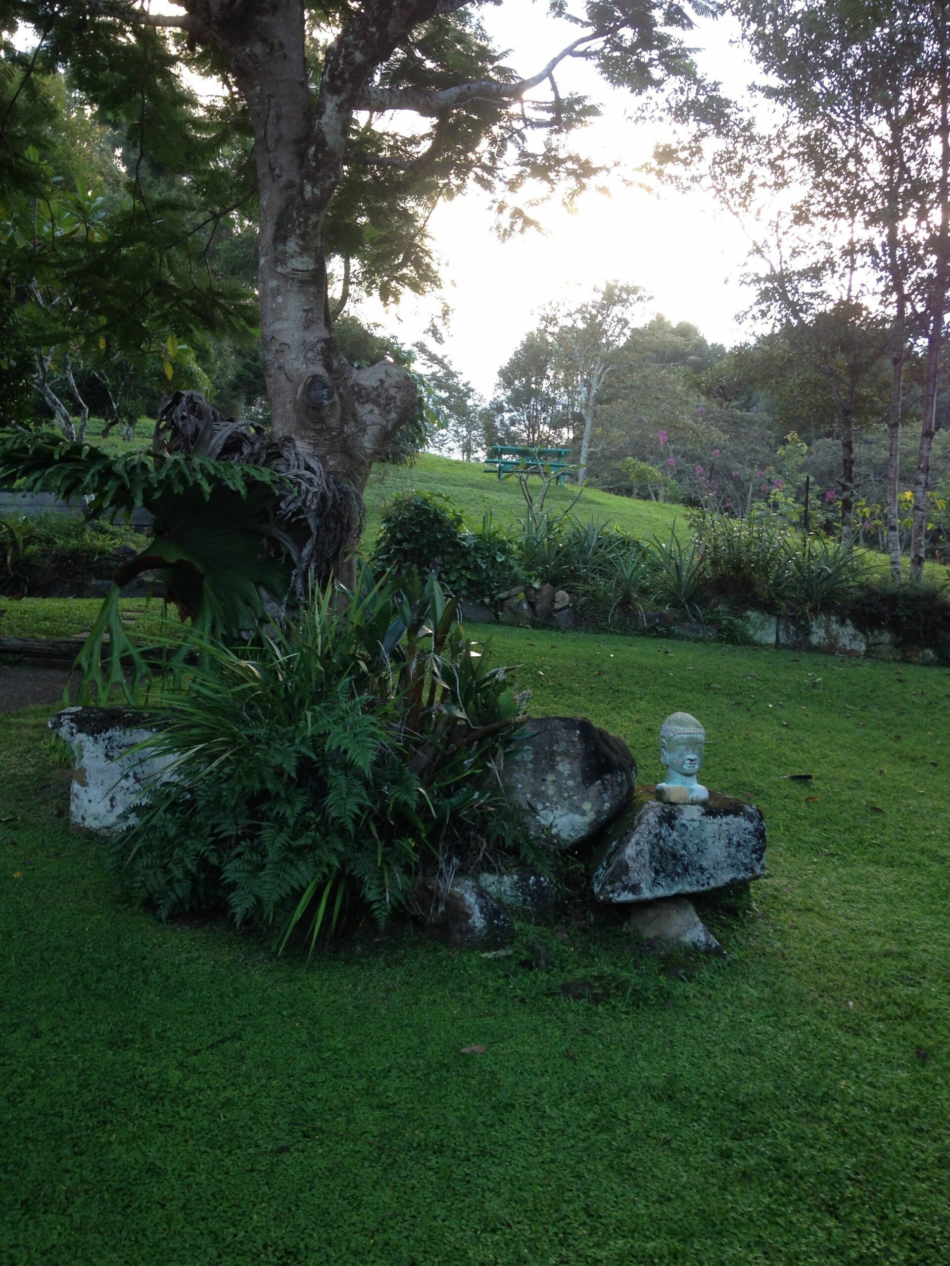 Mt Warning Retreat