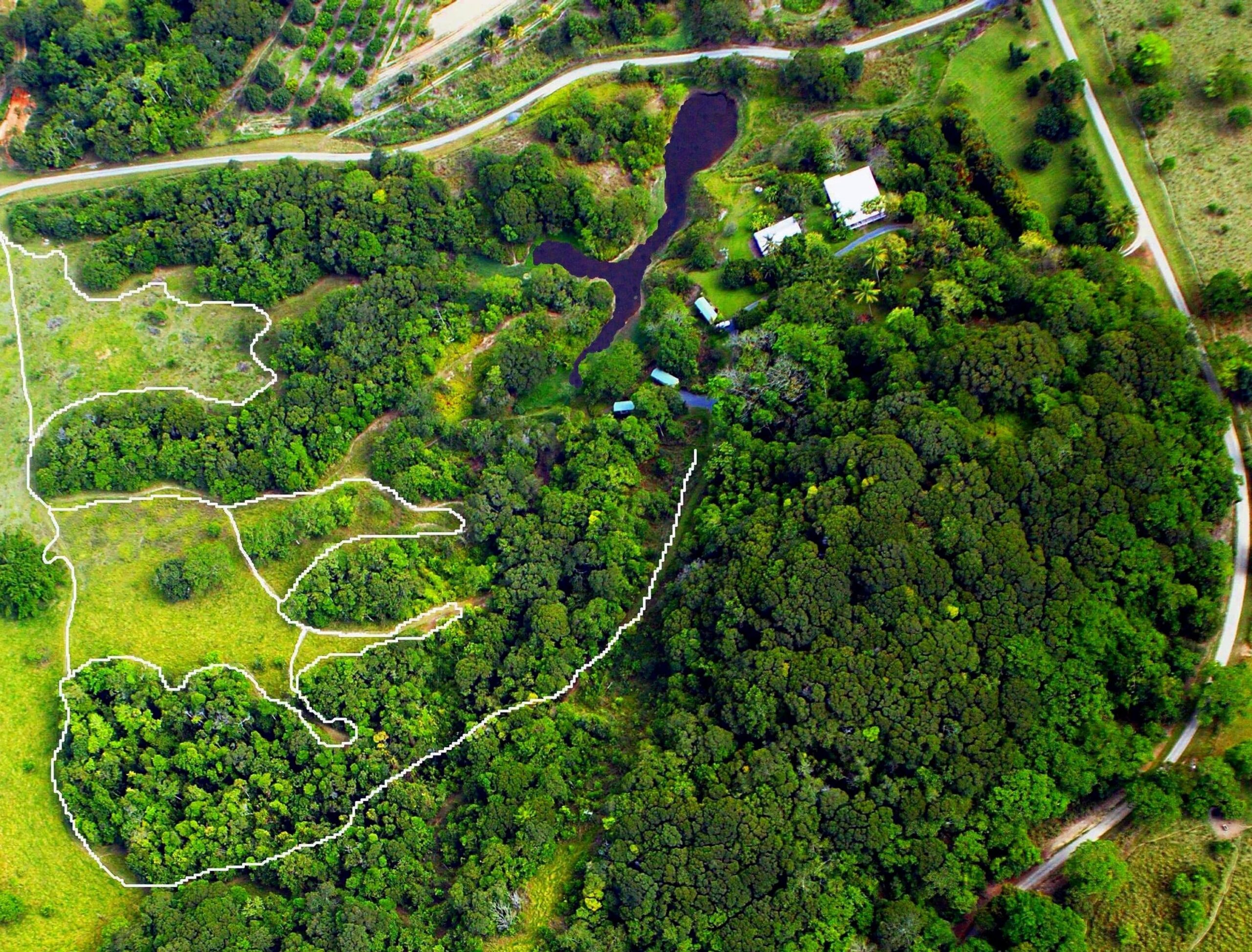 Daintree Valley Haven