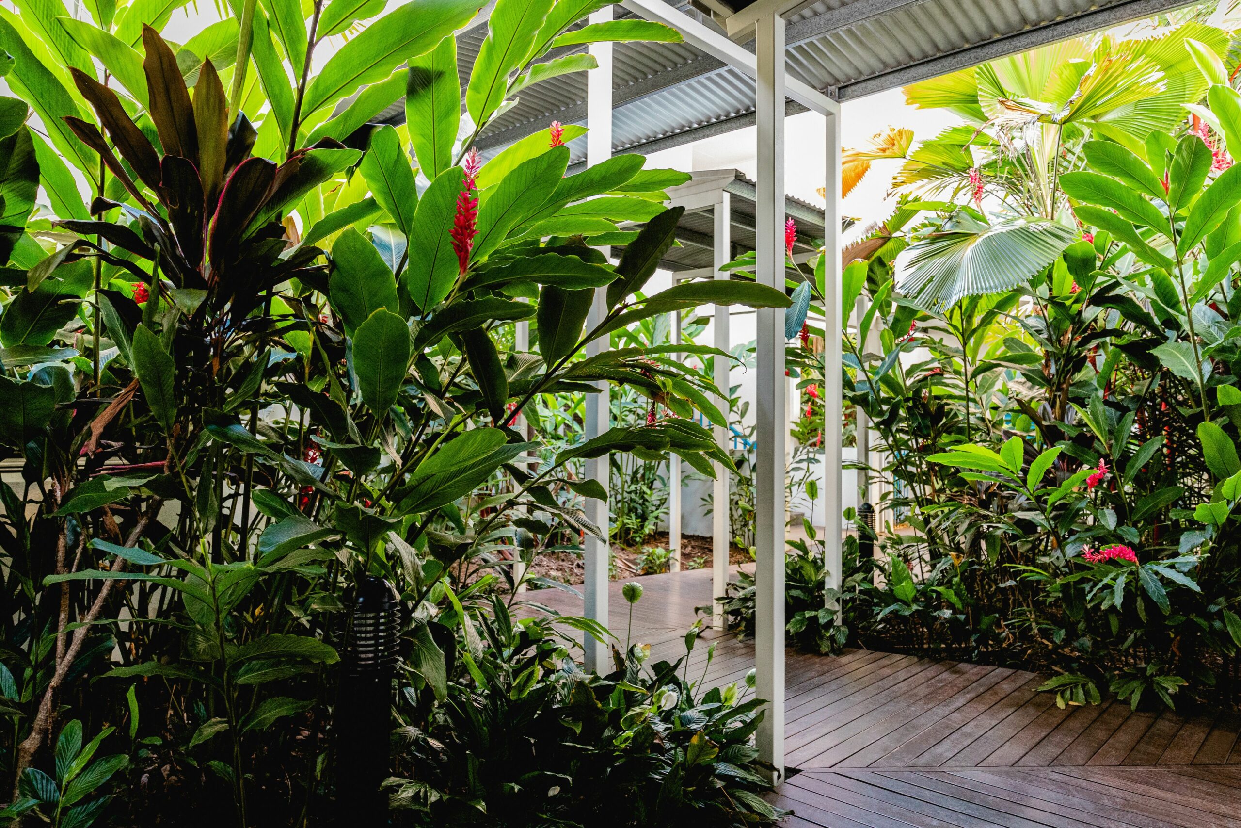 Silkari Lagoons Port Douglas