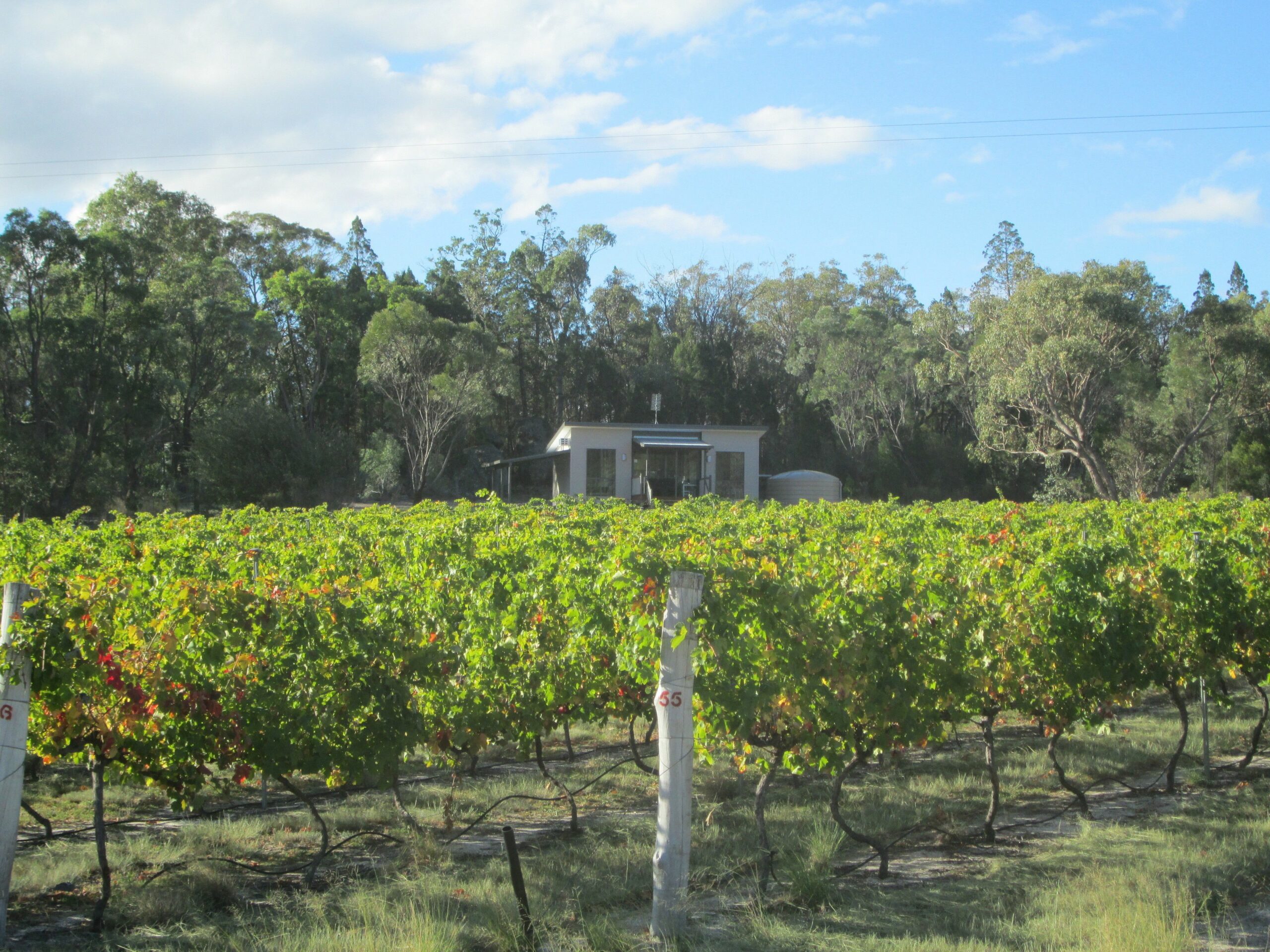 Just Red Wines Vineyard Cabins