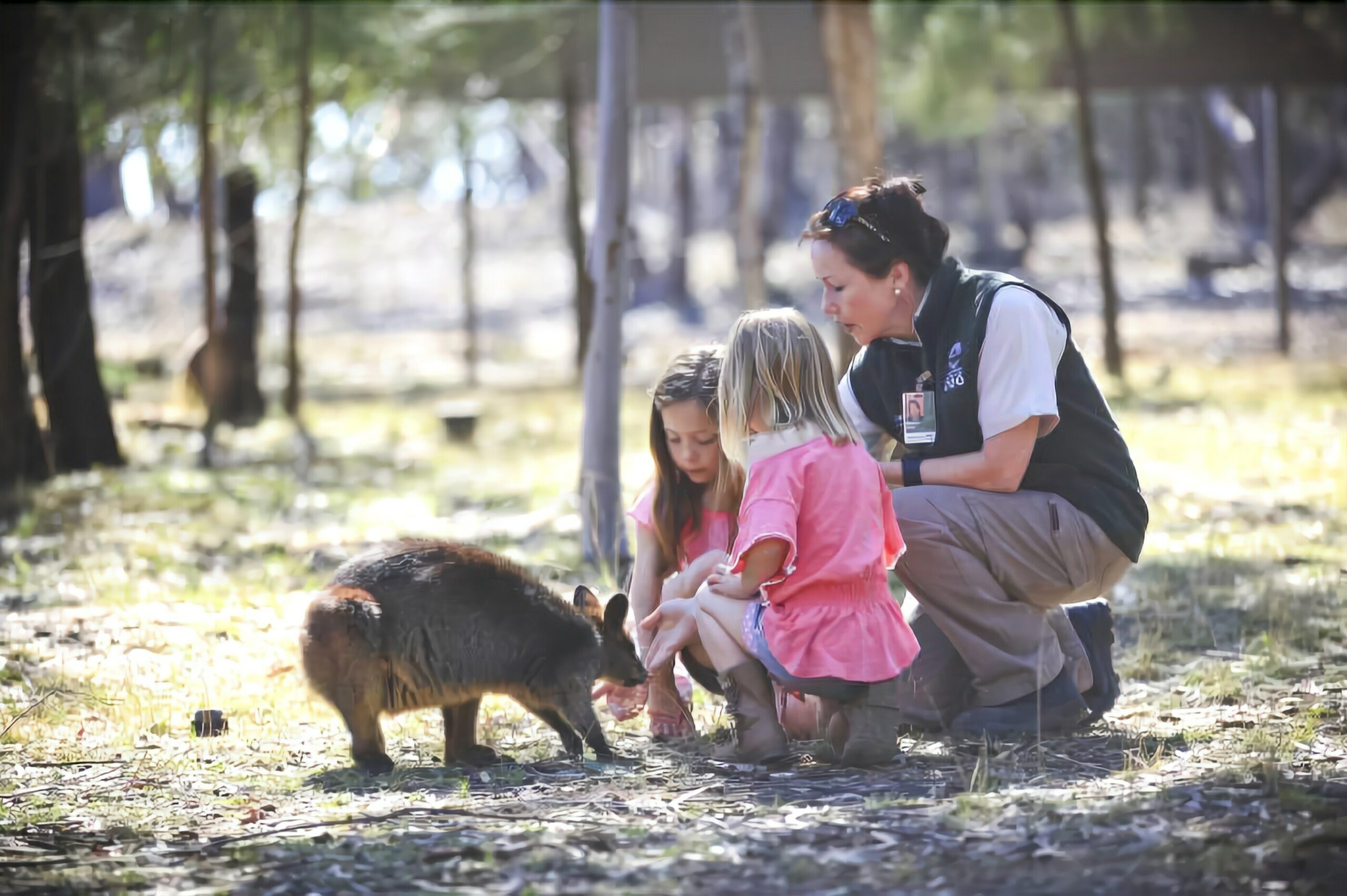 Billabong Camp at Taronga Western Plains