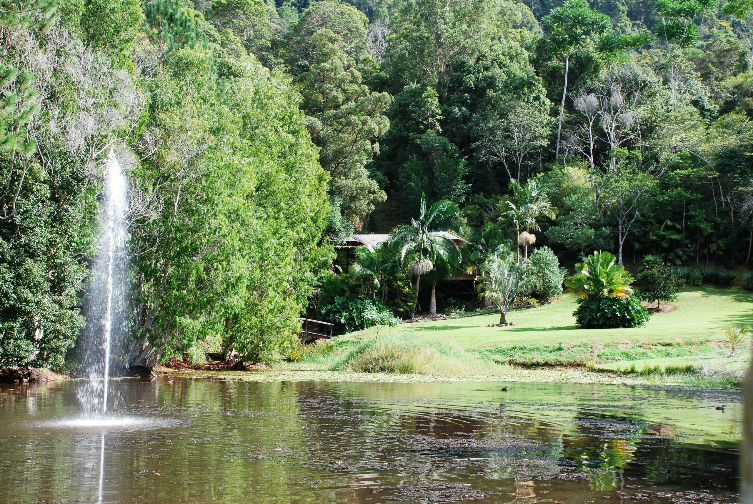 Mt Warning Rainforest Retreat