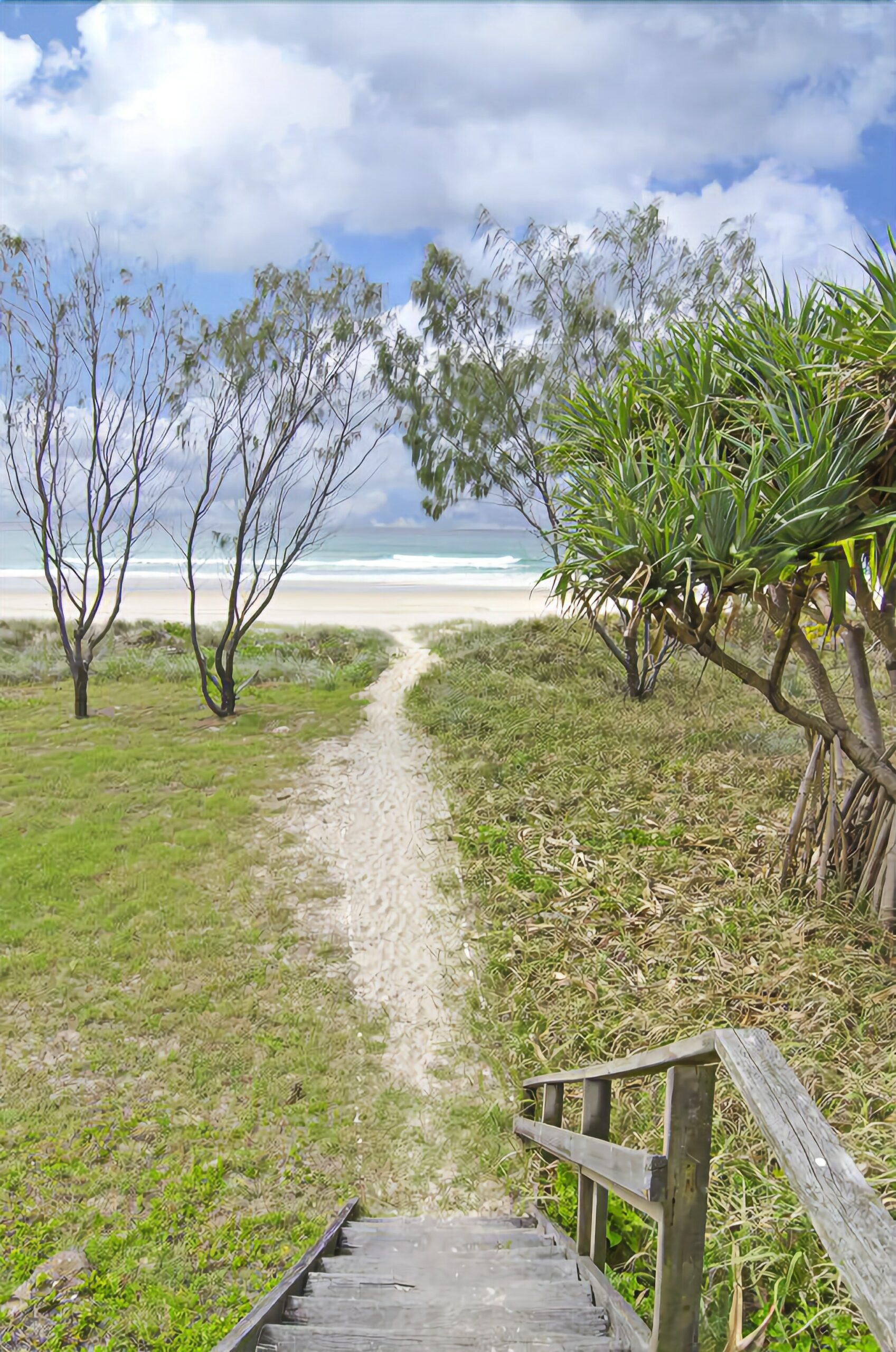 Sentosa at Tugun Beachfront Holiday Home