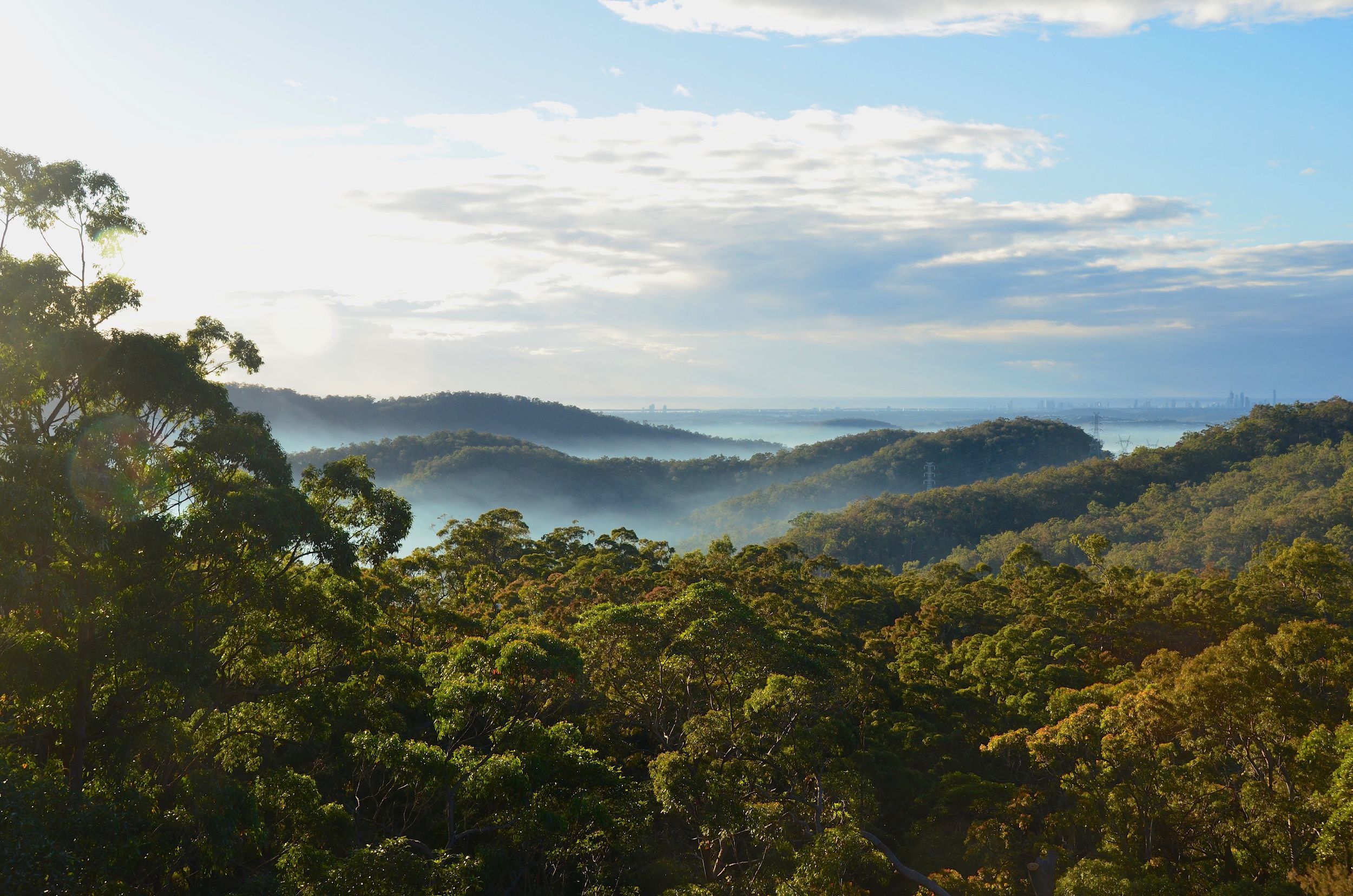 Hilltop on Tamborine