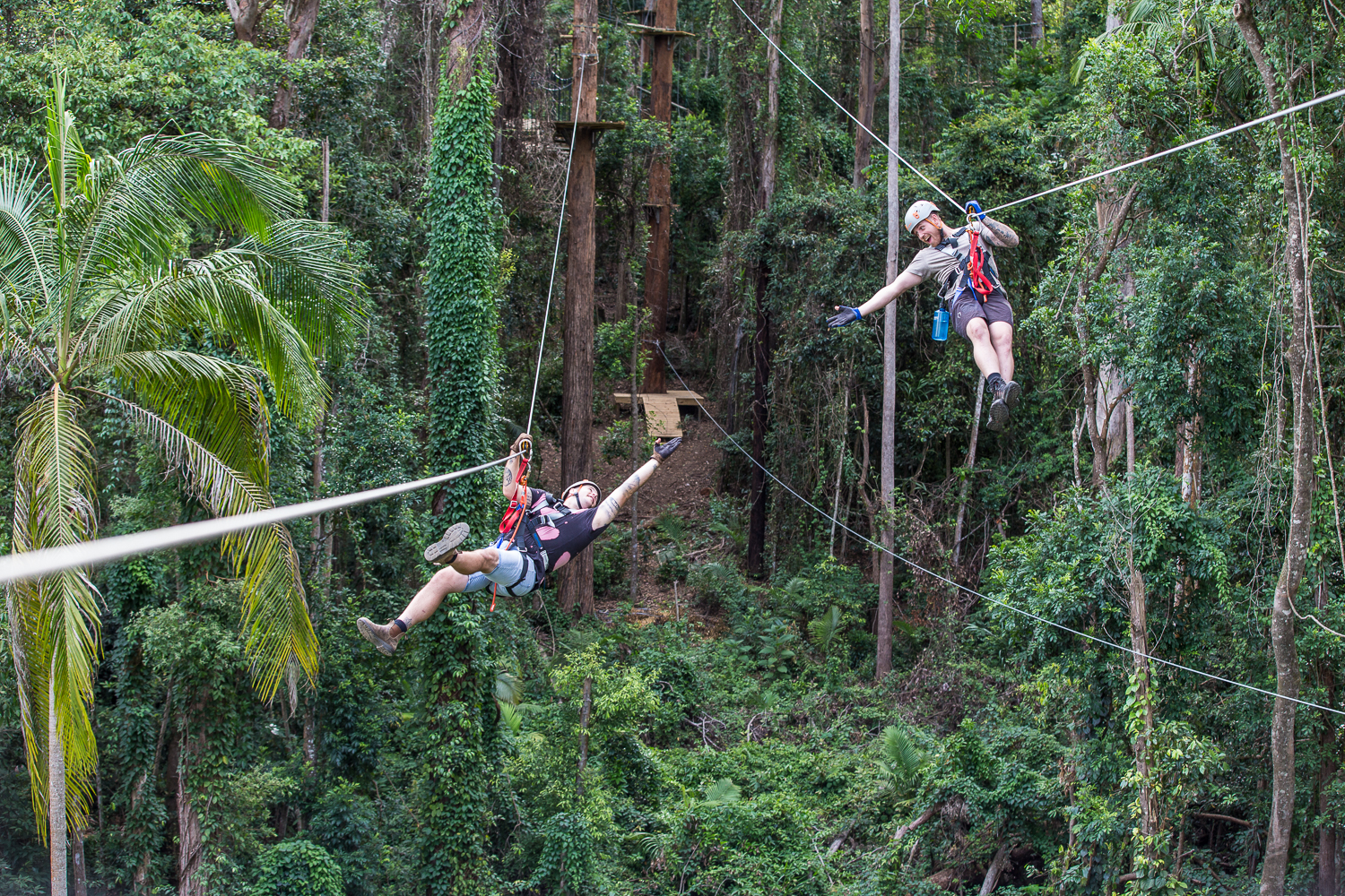 Sunshine Coast Adventure Park – TreeTop Challenge