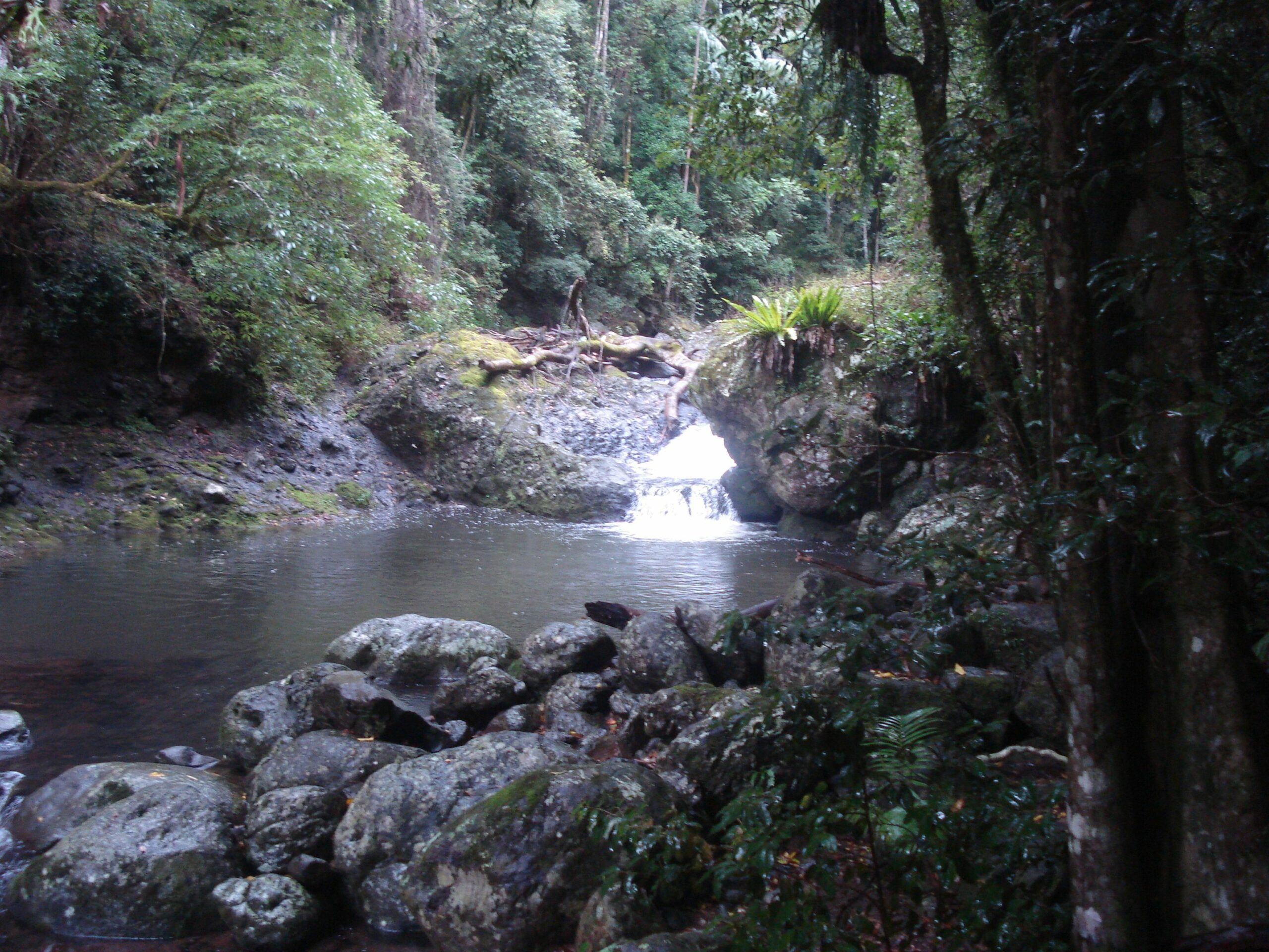 Christmas Creek Cafe & Cabins