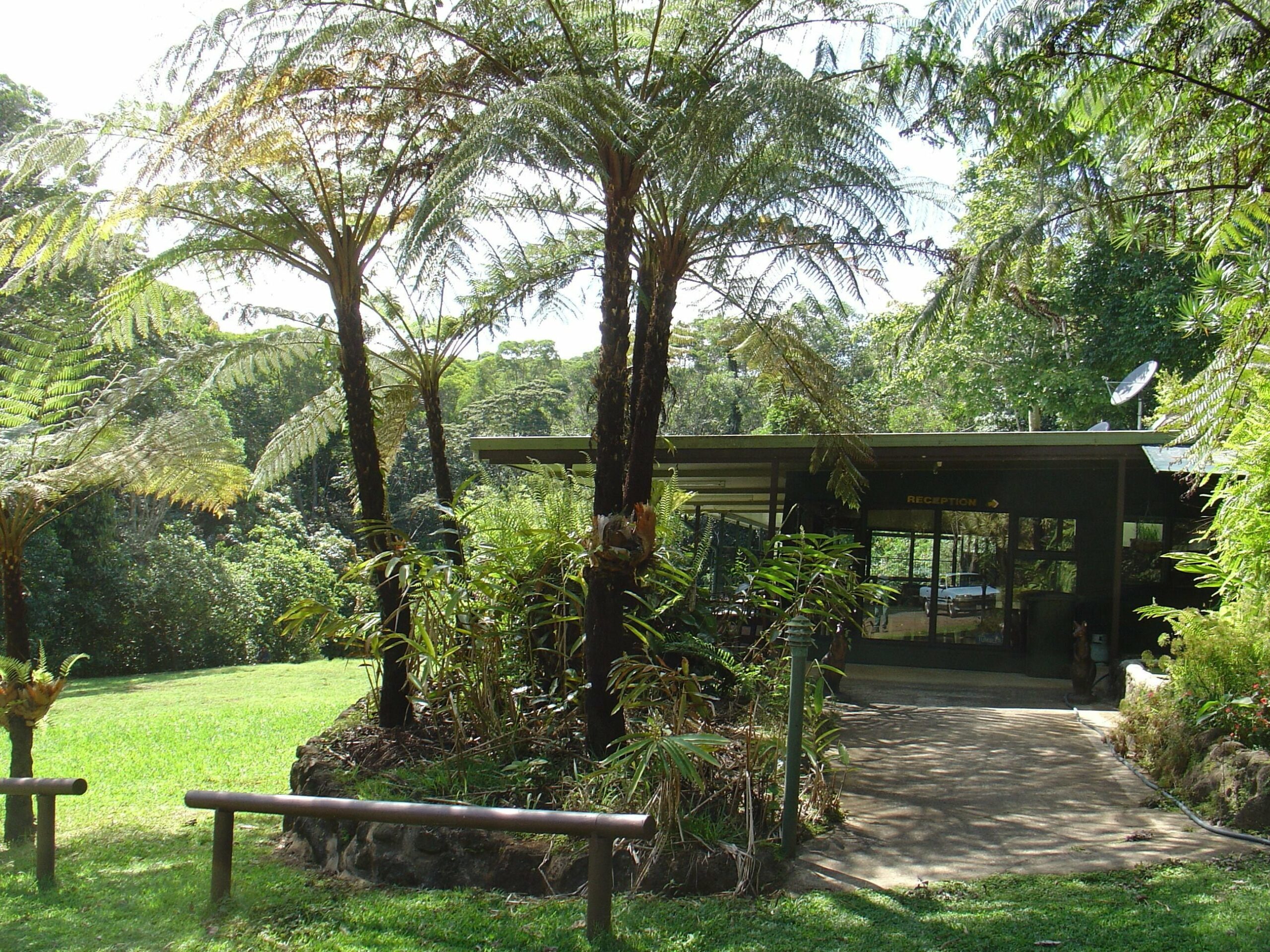 Chambers Wildlife Rainforest Lodges