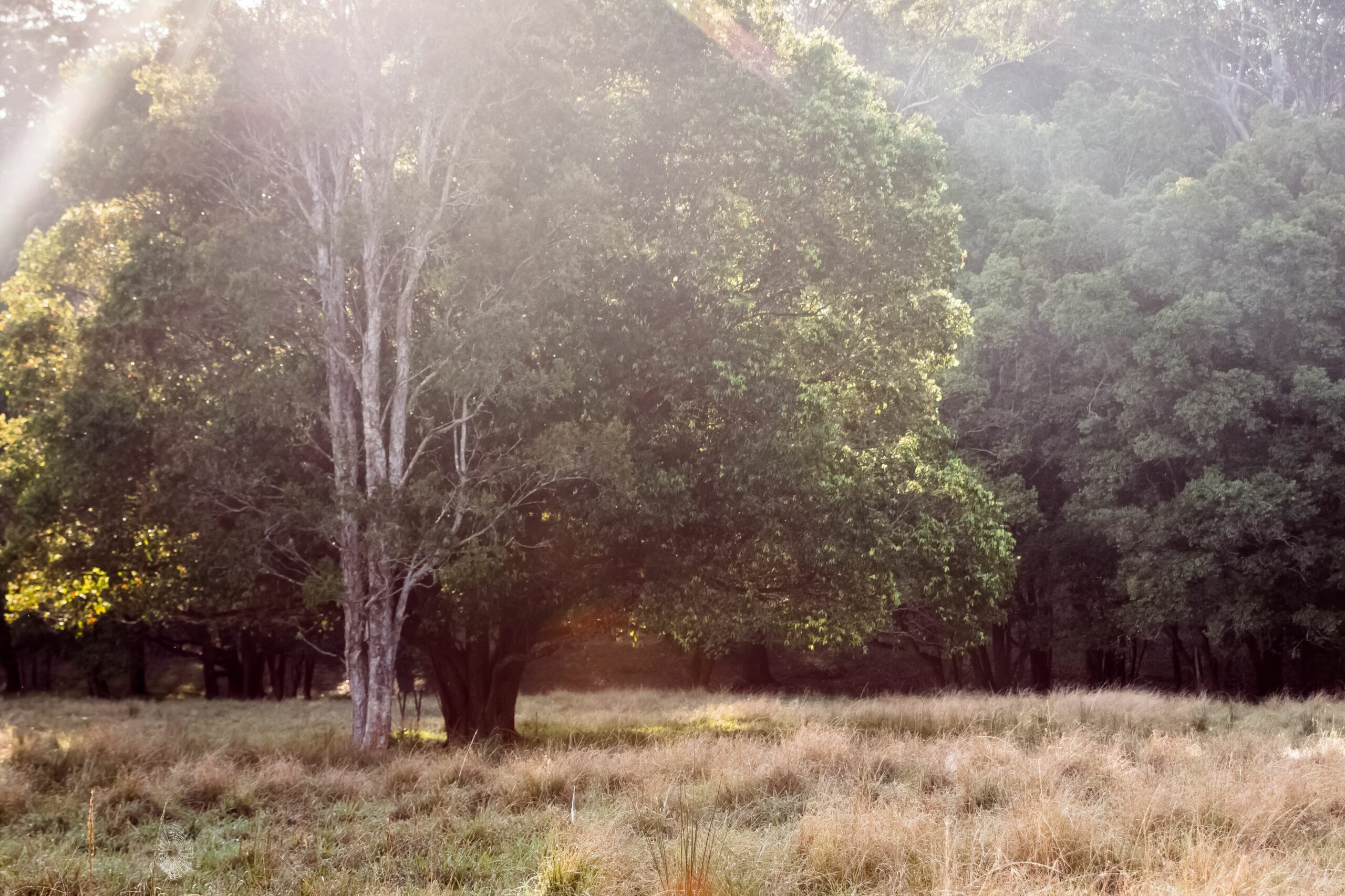 Catch Your Breath. A Rural Getaway Only 5 Mins to the Beach