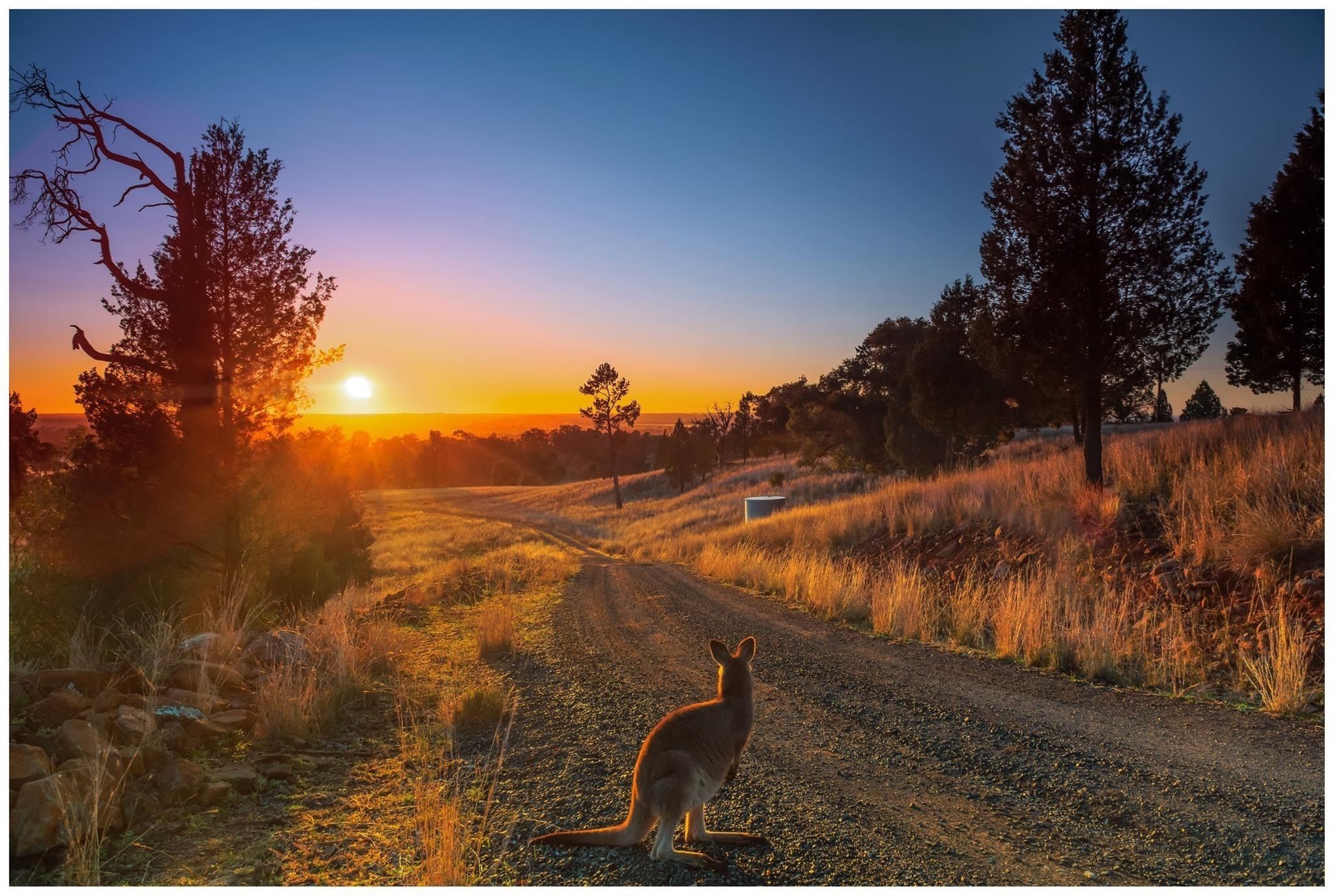 Bulwarra Accommodation - Heritage Studio