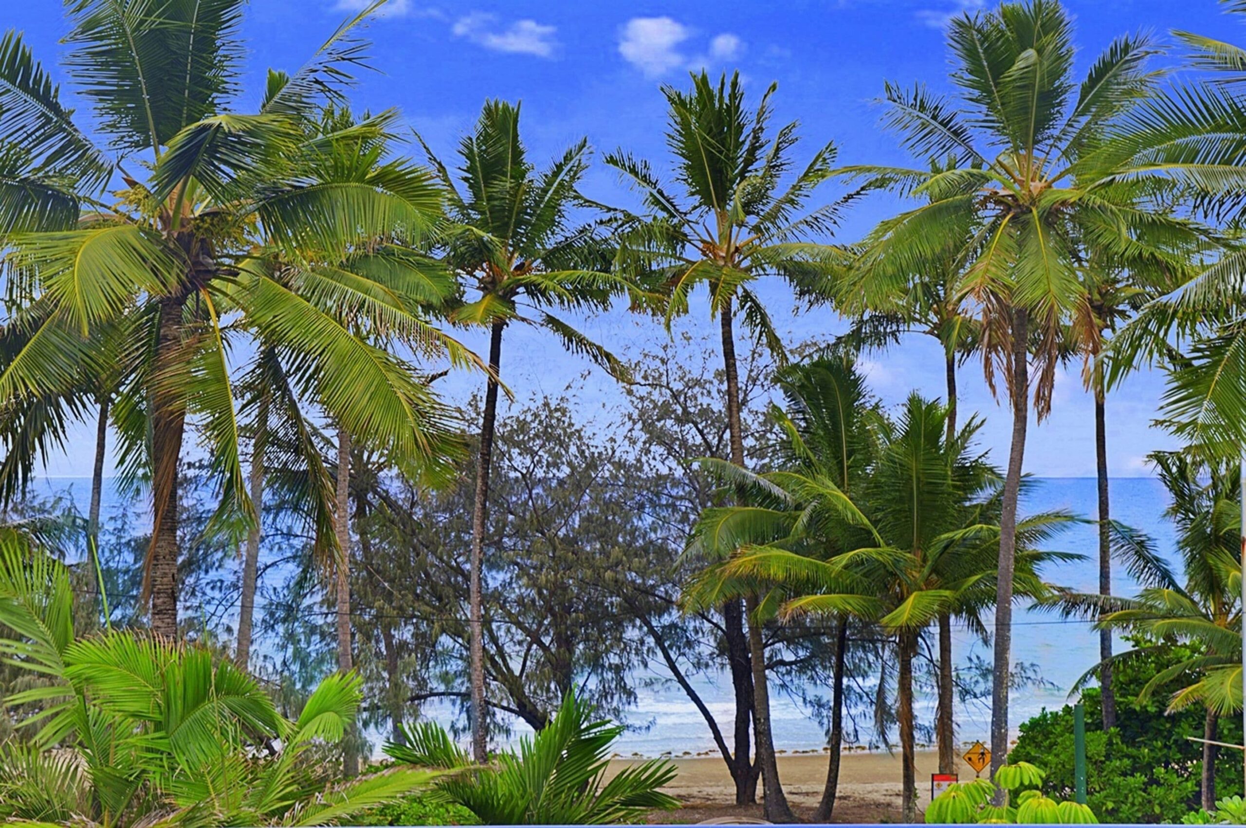 By The Sea Port Douglas