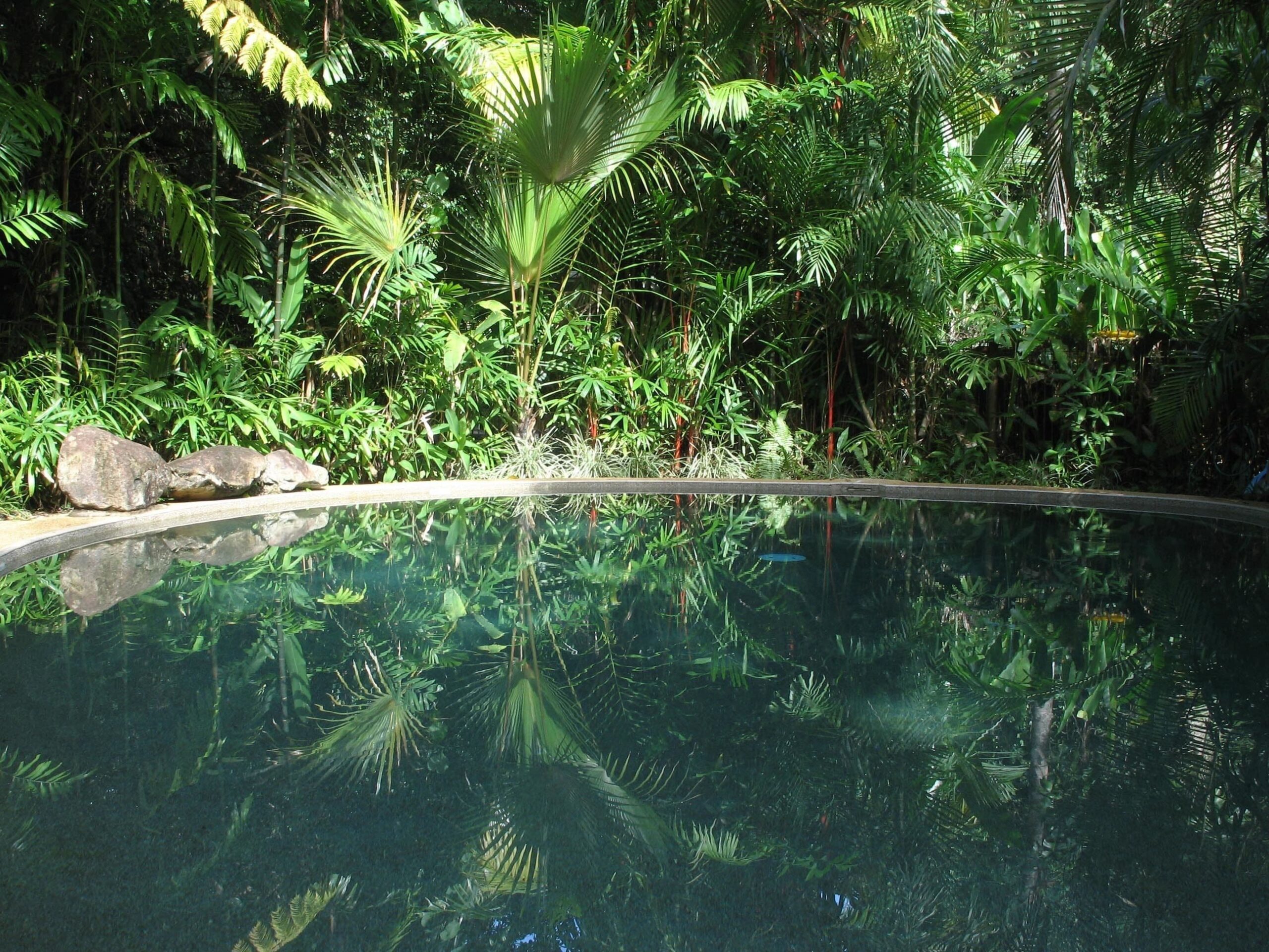 Daintree Rainforest Retreat