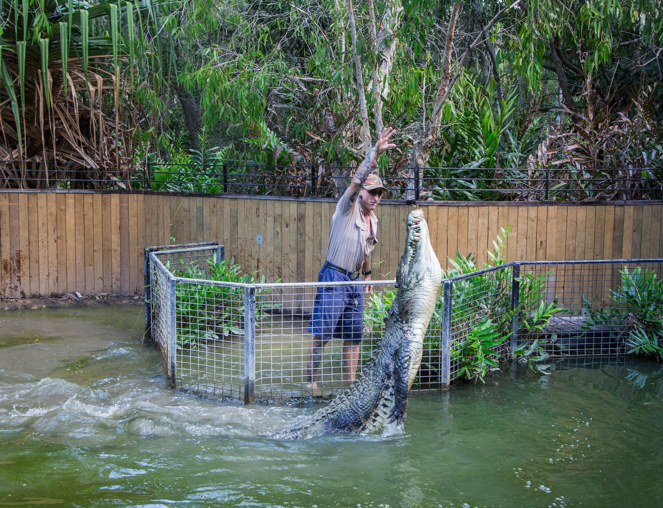 Hartley’s Crocodile Adventures (Half Day) from Port Douglas