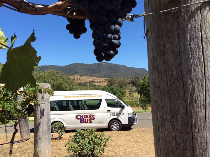 Late Start Food and Wine lovers Tour Sun - Fri  local pick up 6 days