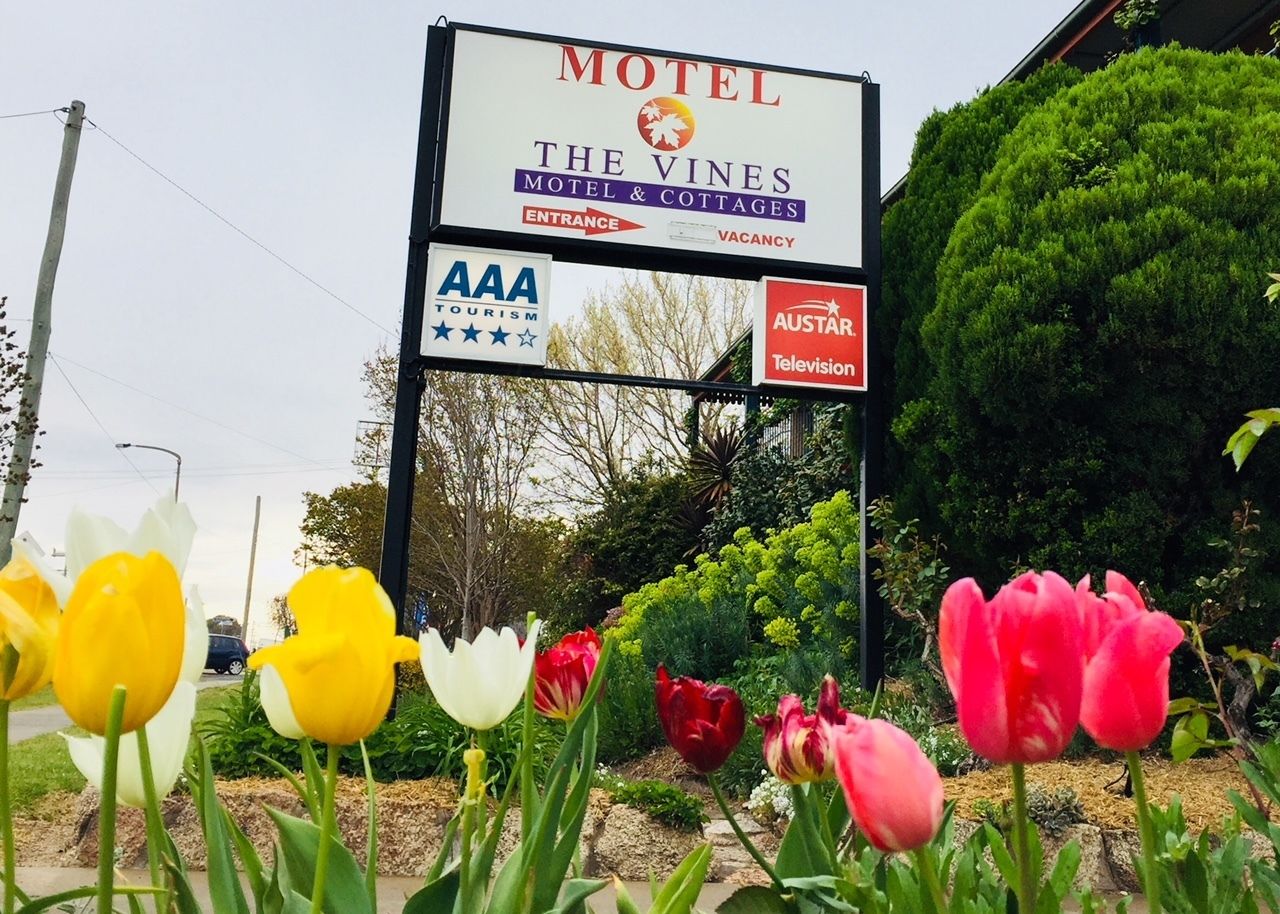 The Vines Motel and Cottages