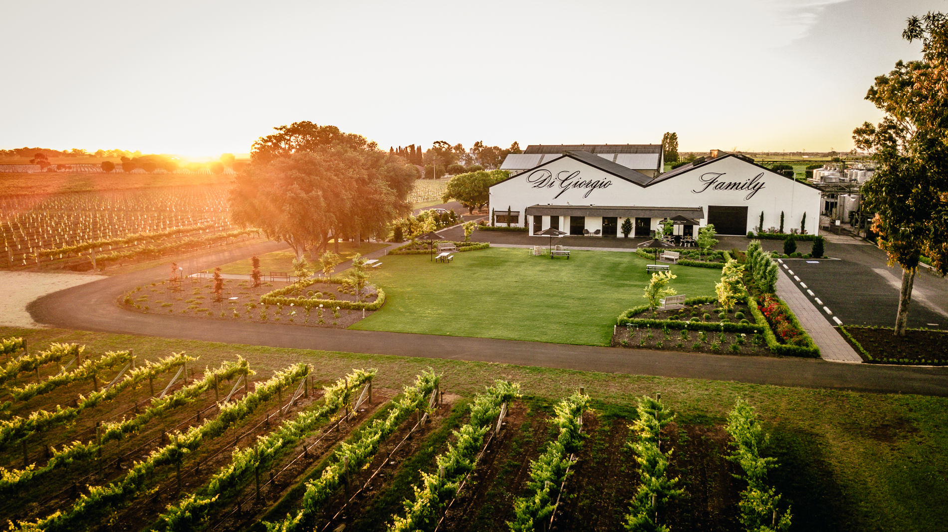 Cellar Door Wine Tasting