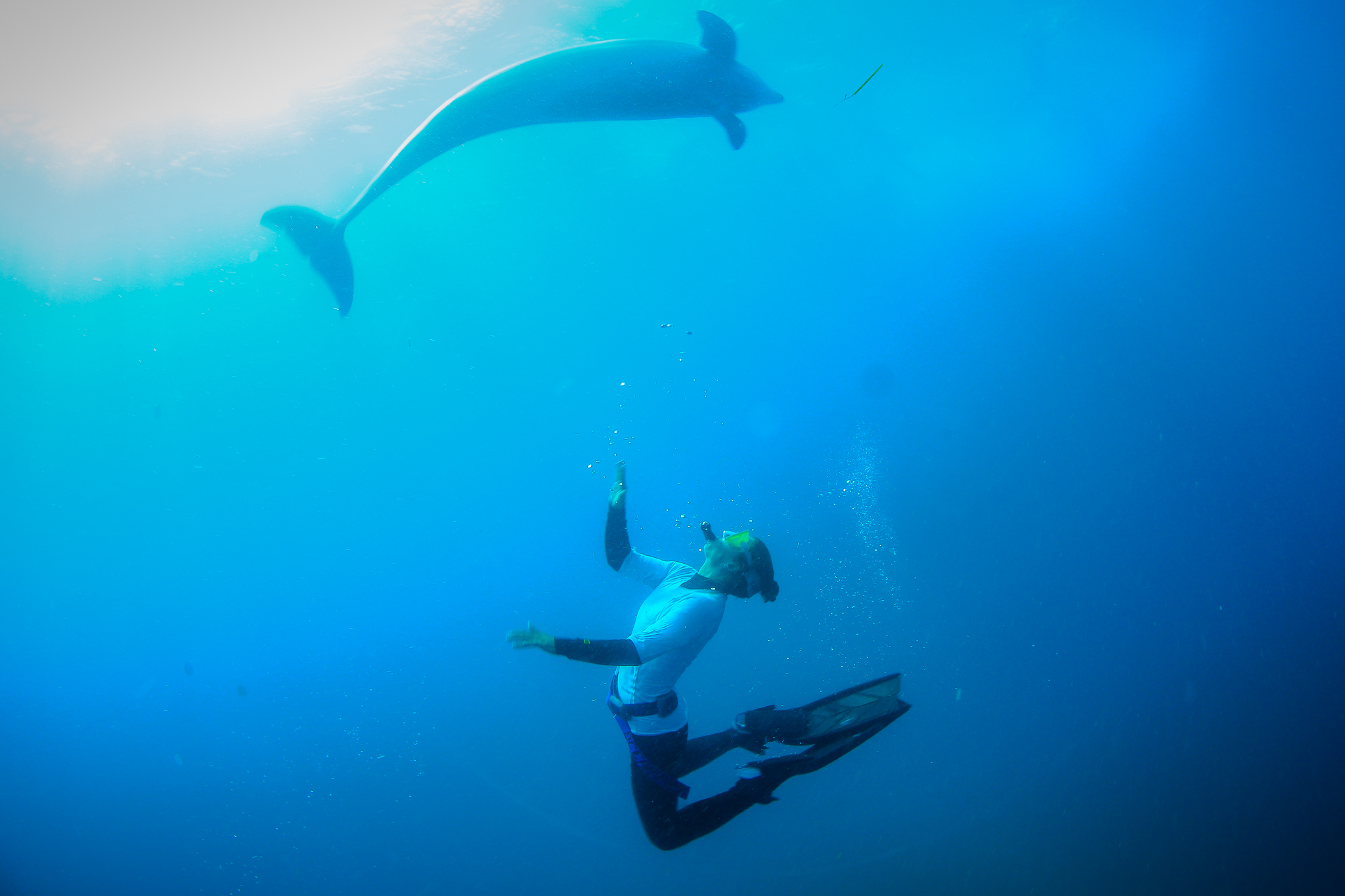 Private Dolphin Swim Cruise