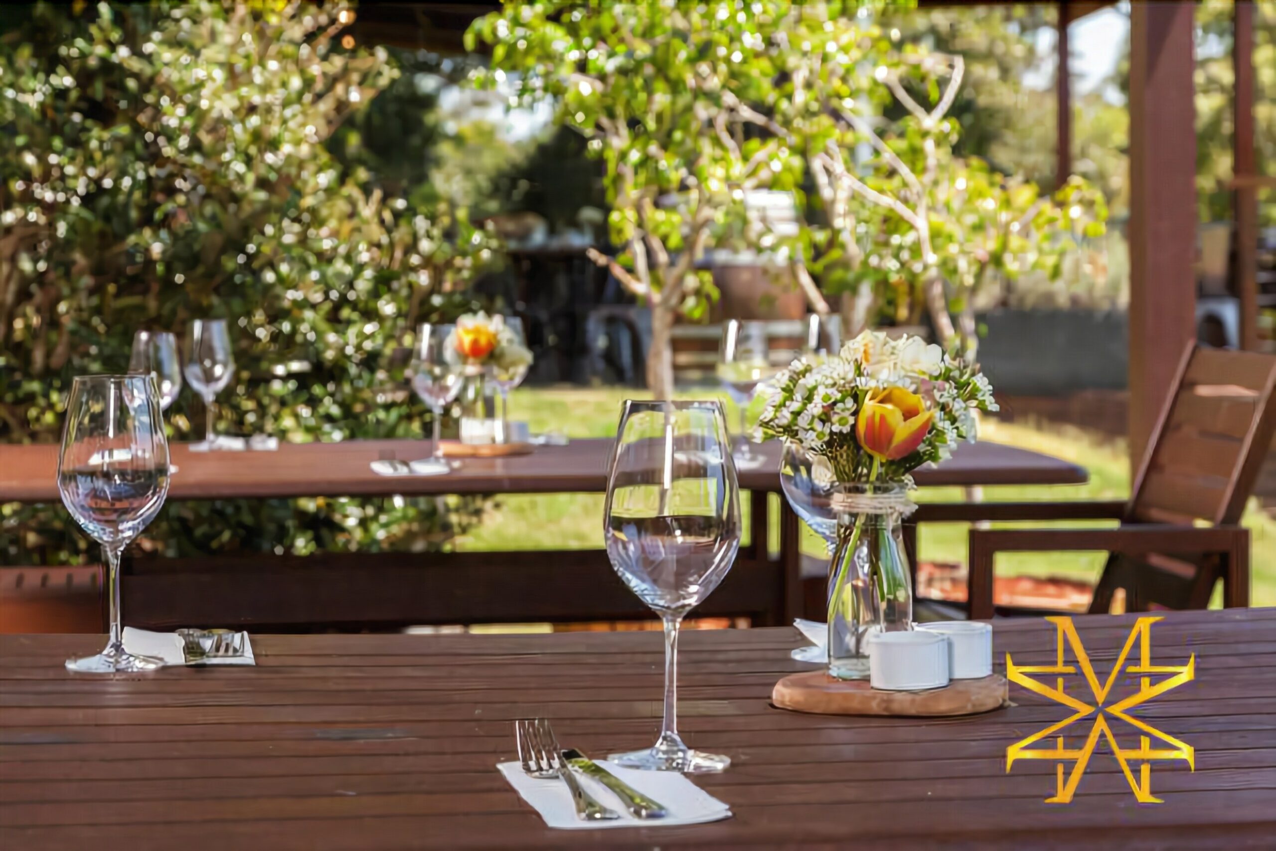 Mason Wines