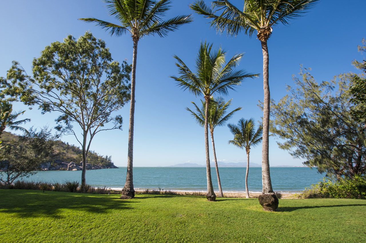 Picnic Beach'scape