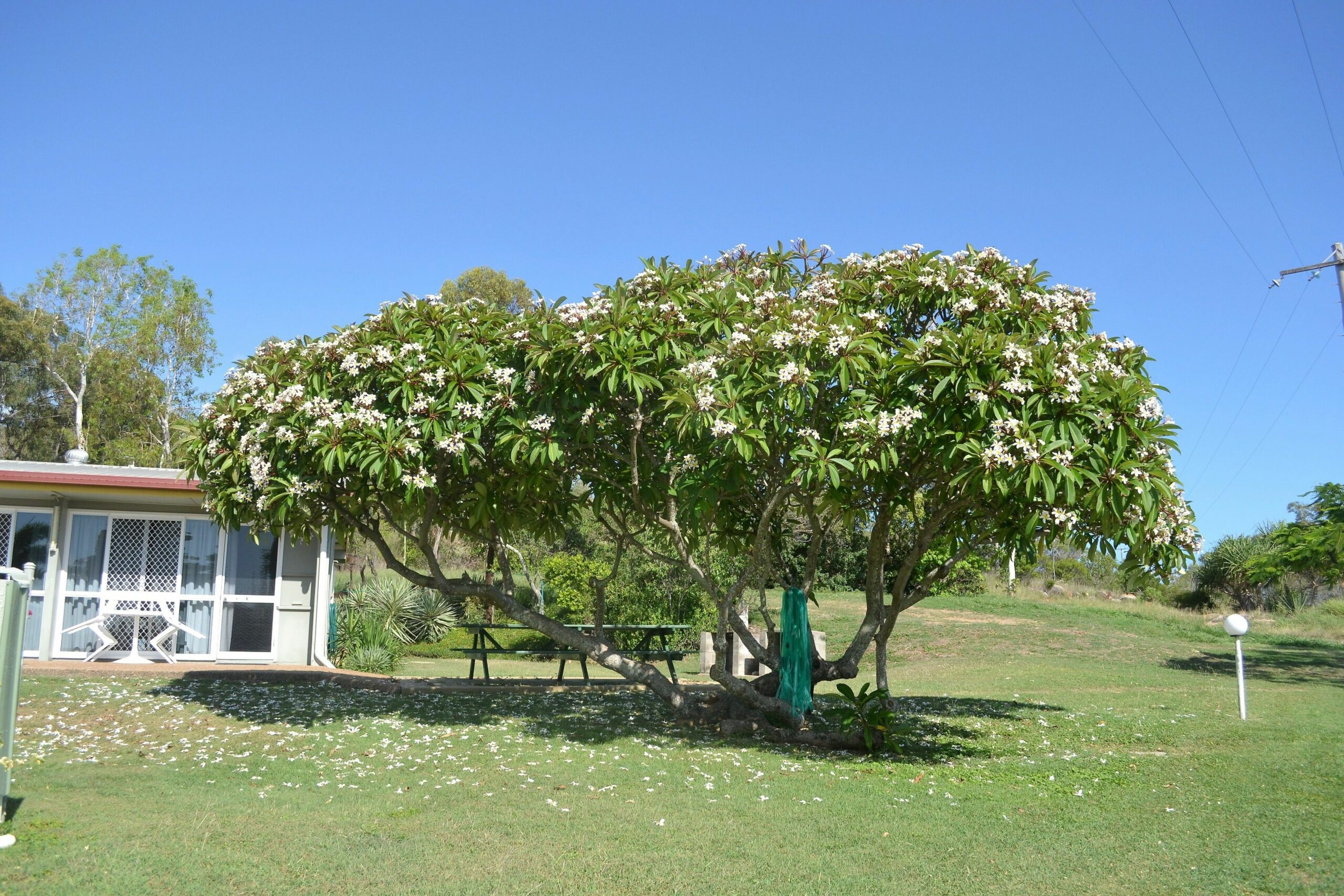 Ocean View Motel Bowen