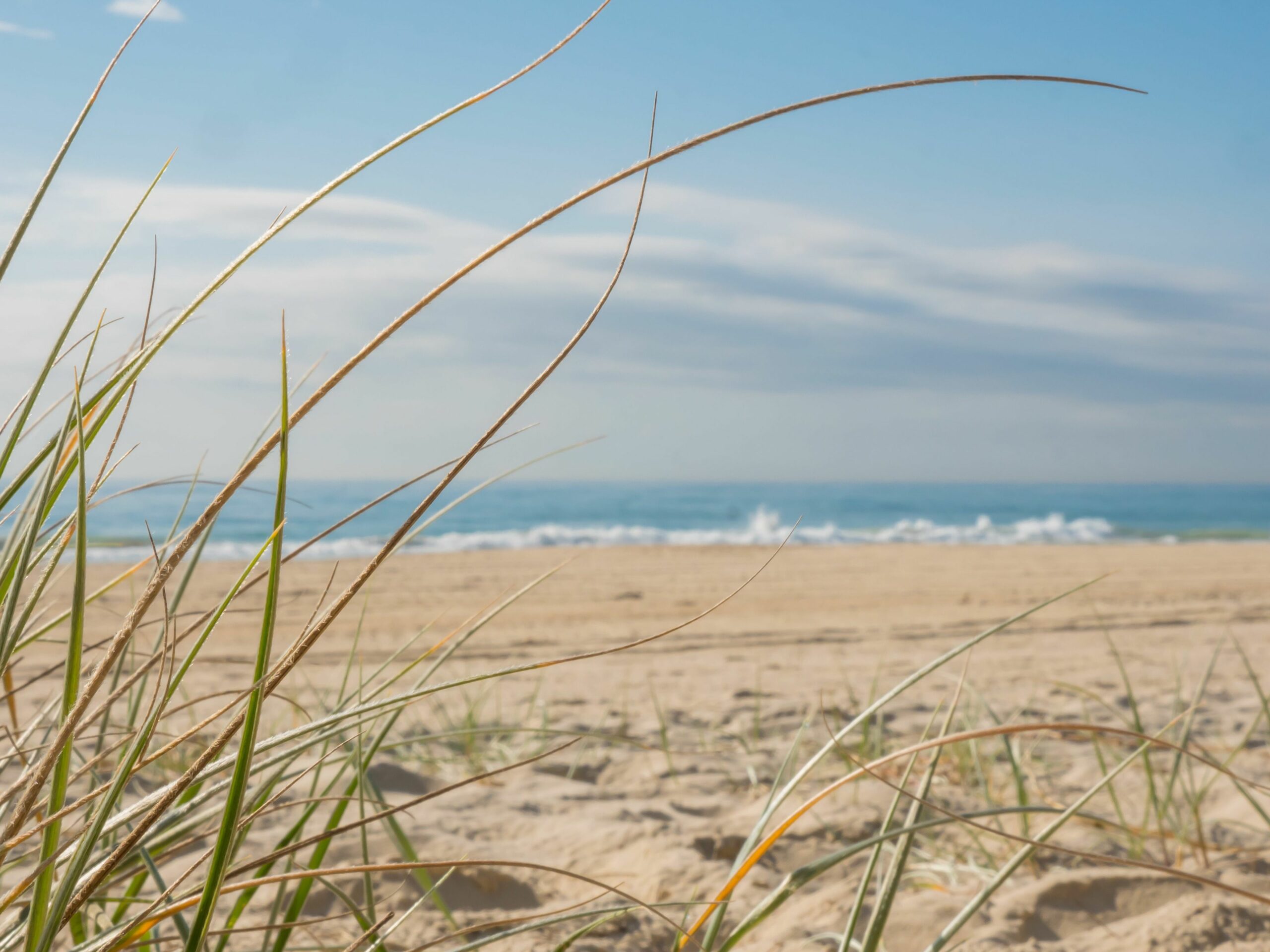 Burleigh Surf Apartments