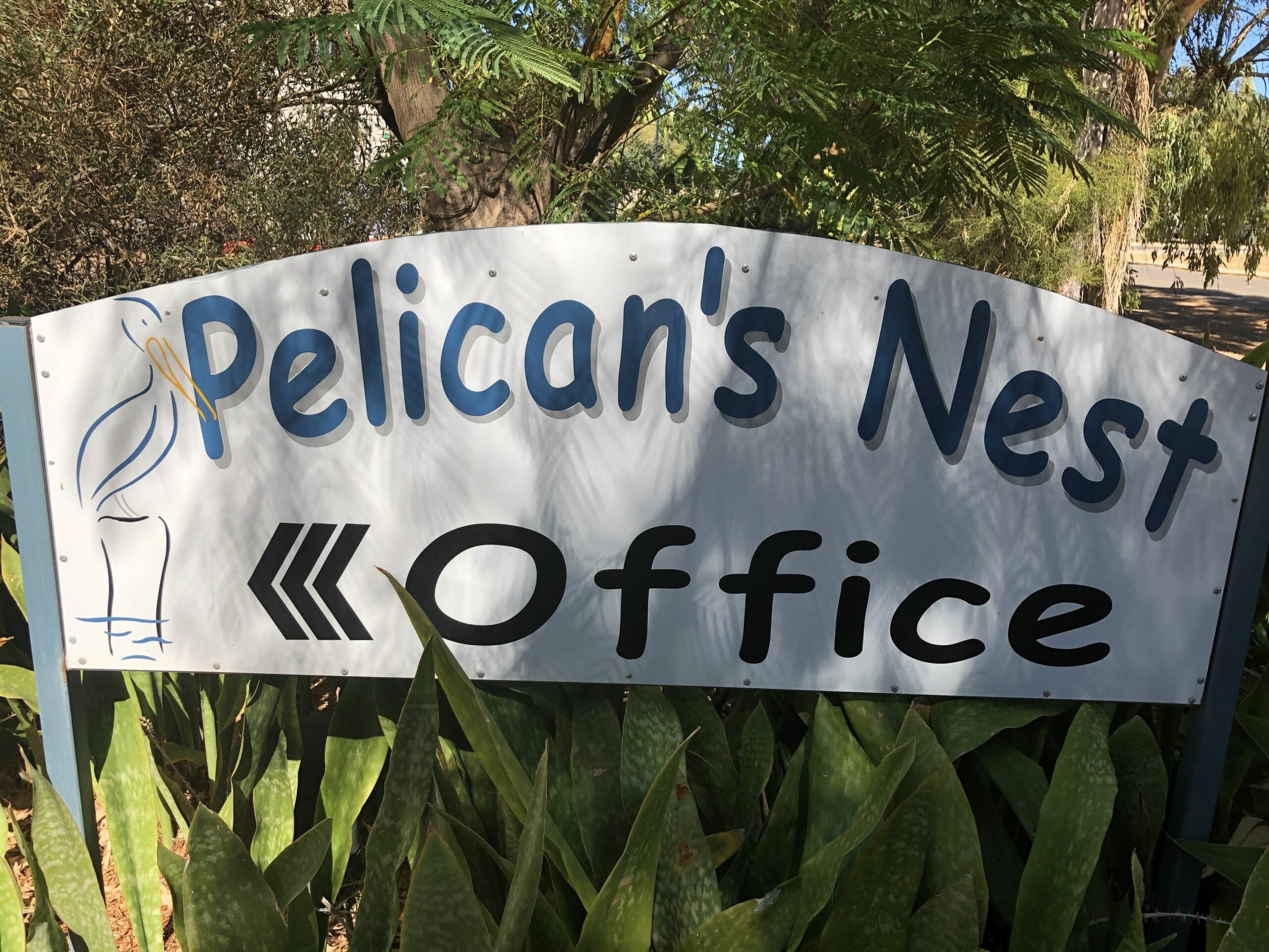 Pelican's Nest