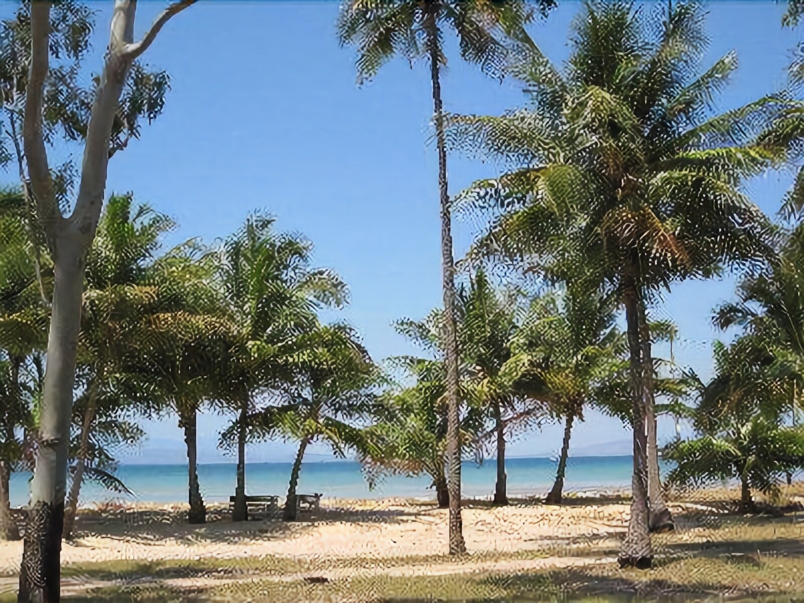 Arcadia Beach Guest House