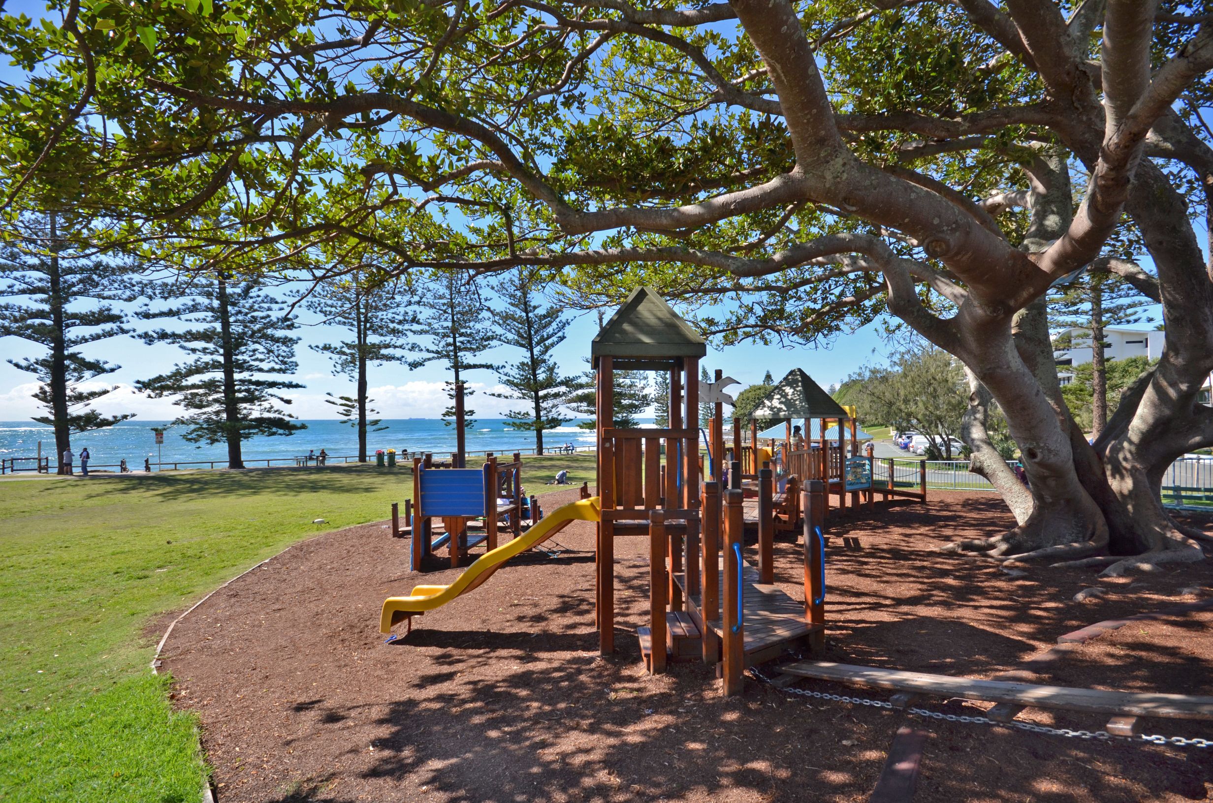 Raintrees on Moffat Beach