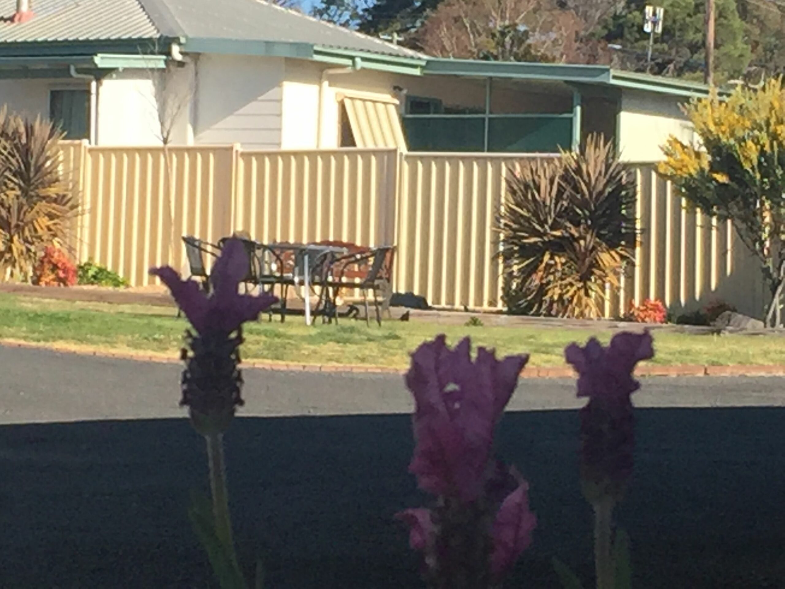 Glen Innes Motel