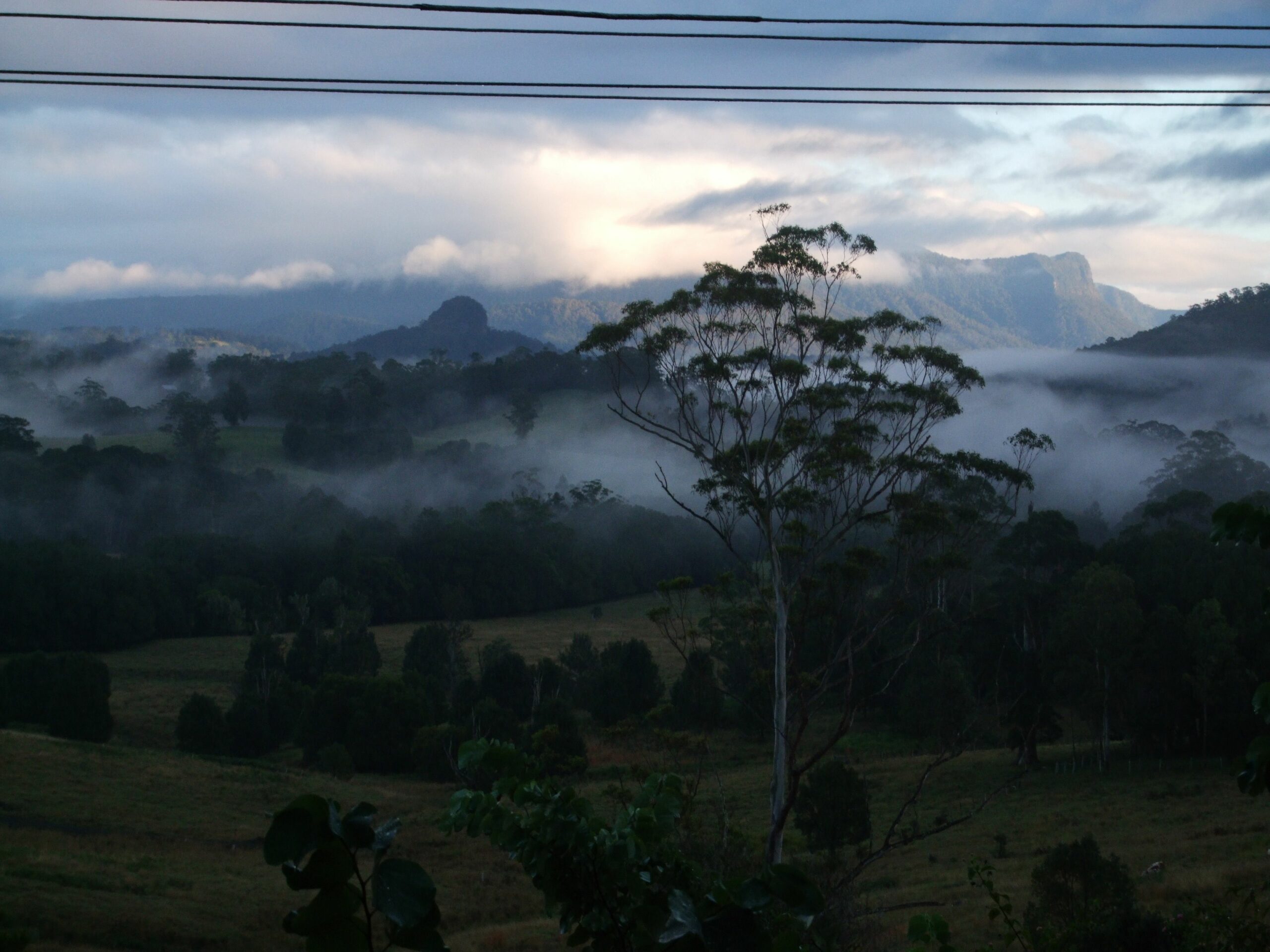 Grey Gum Lodge